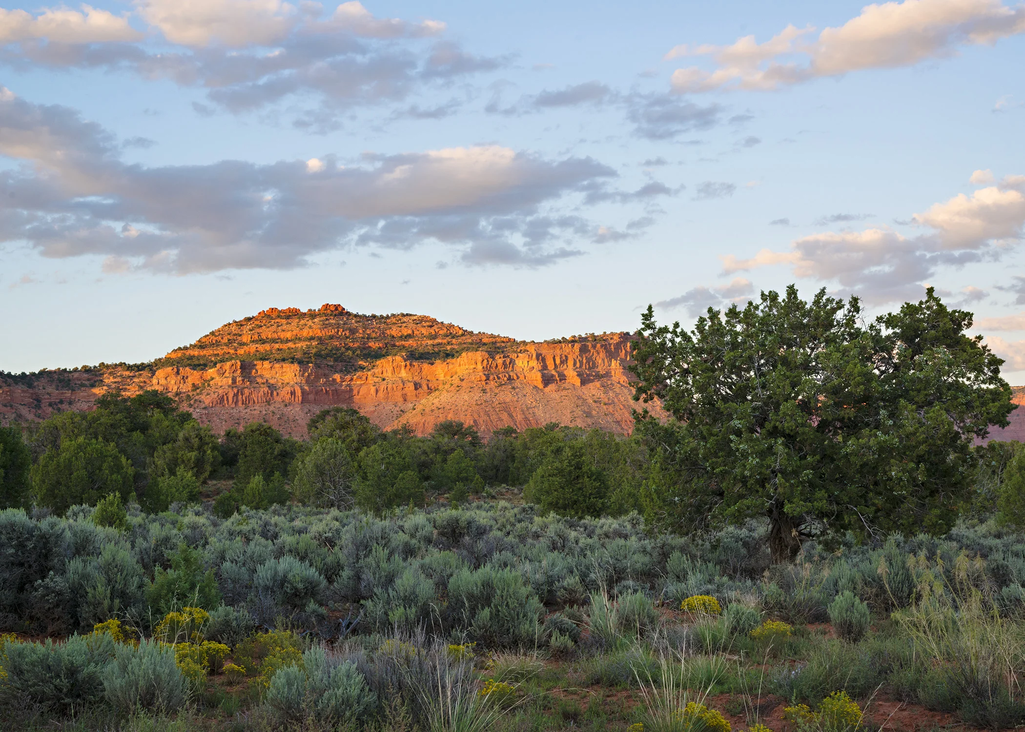 D8F_9452.jpg