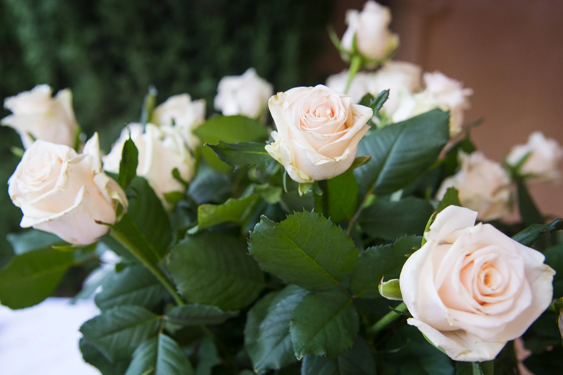D8F_9570.jpg