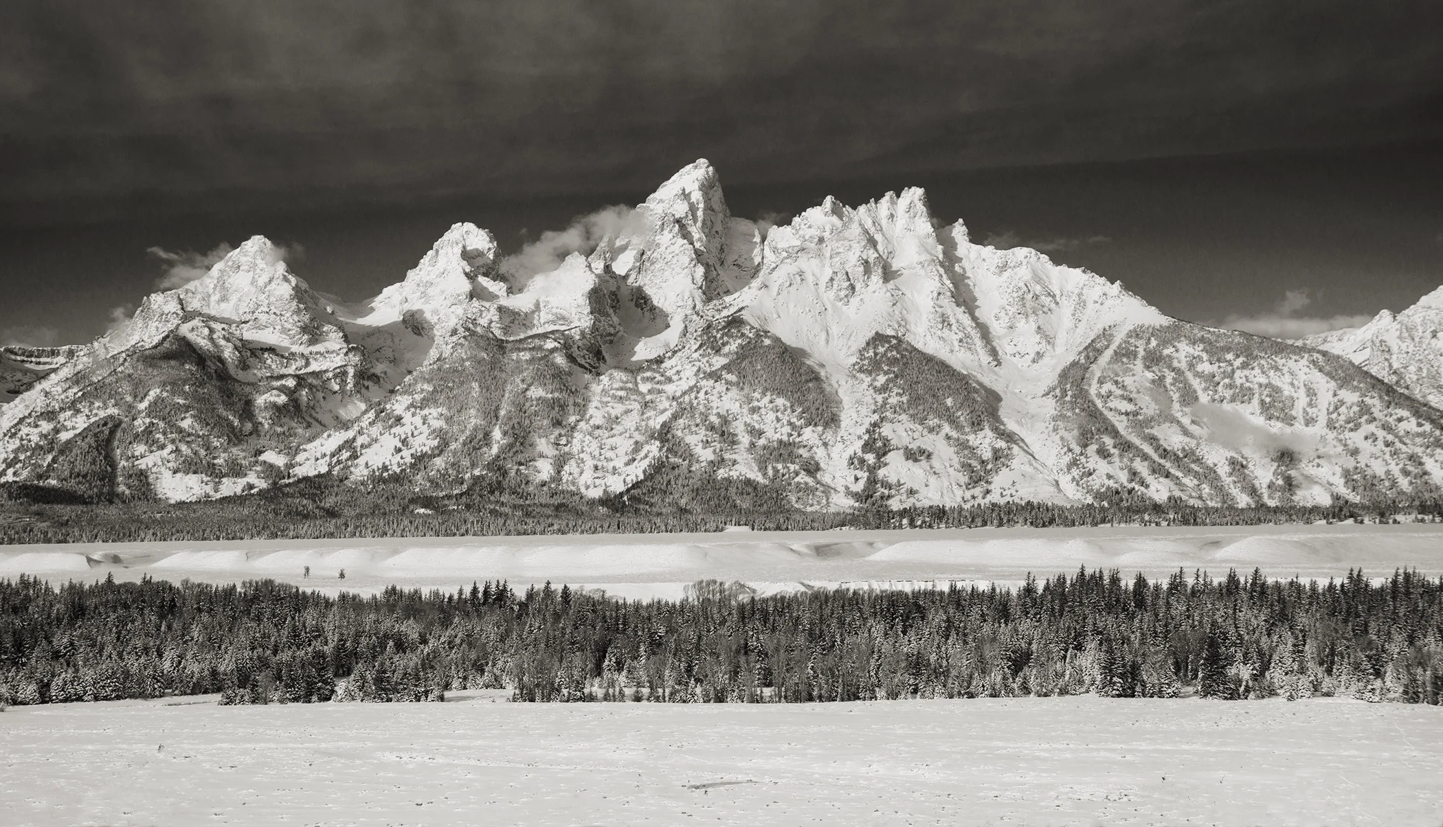 D8F_9974.jpg
