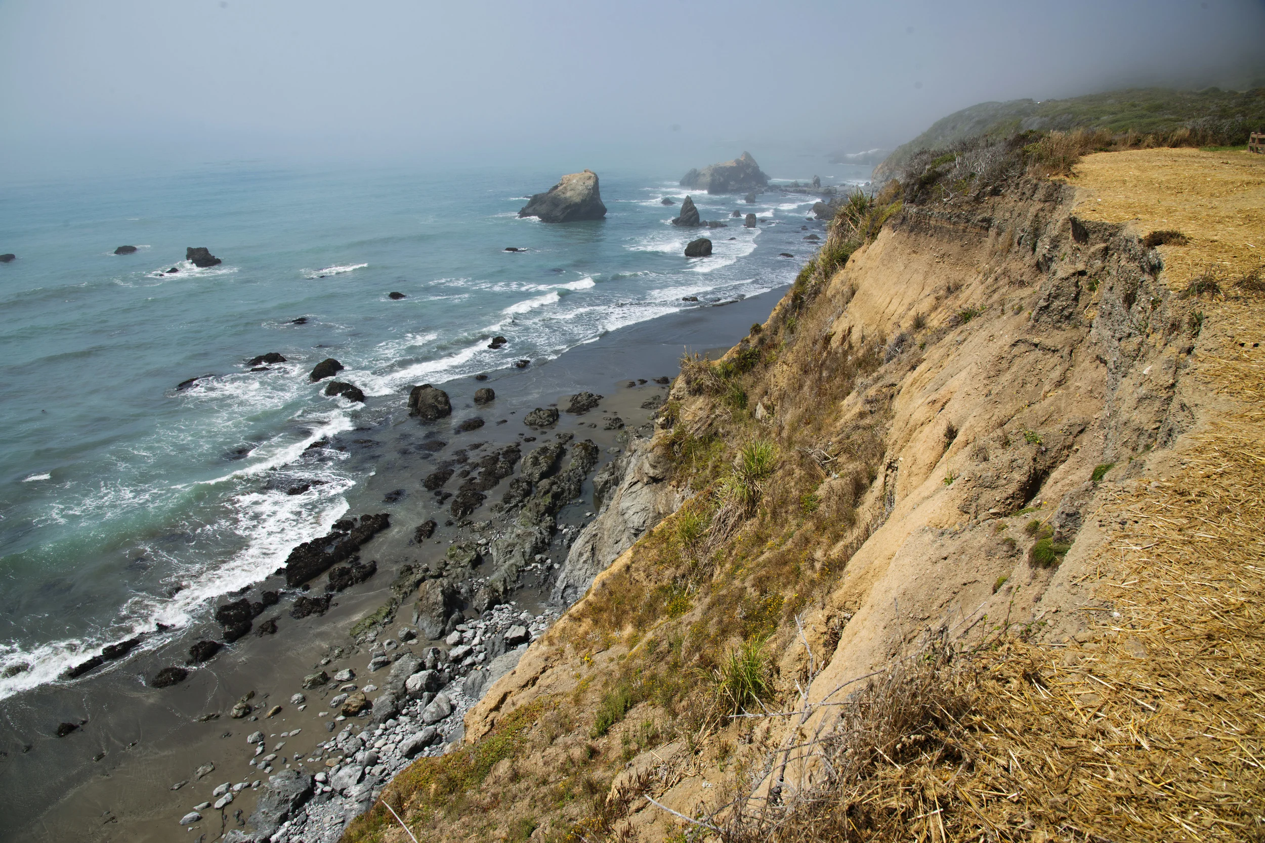 D8F_0094.jpg