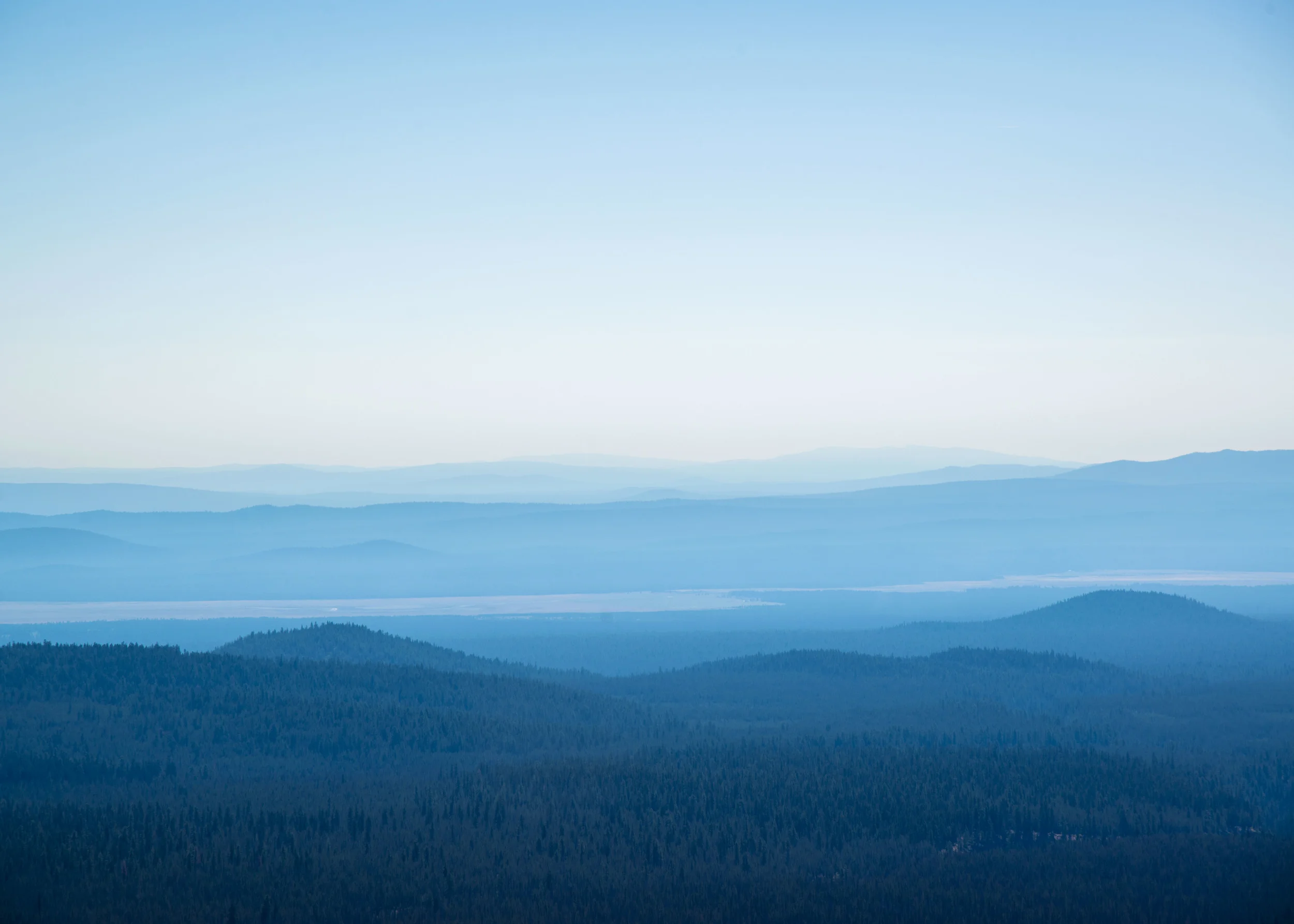 D8F_0141.jpg