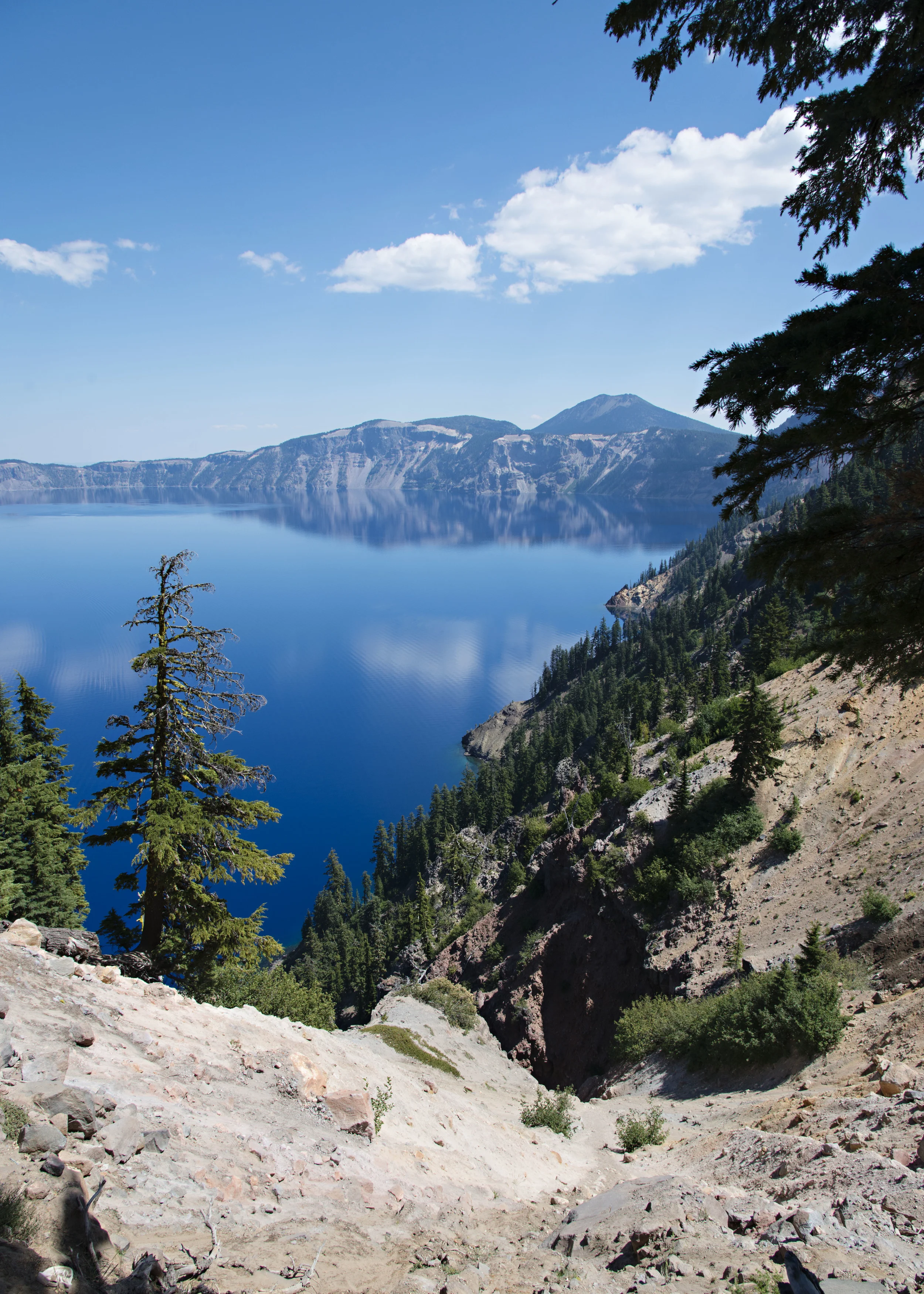 D8F_0158.jpg