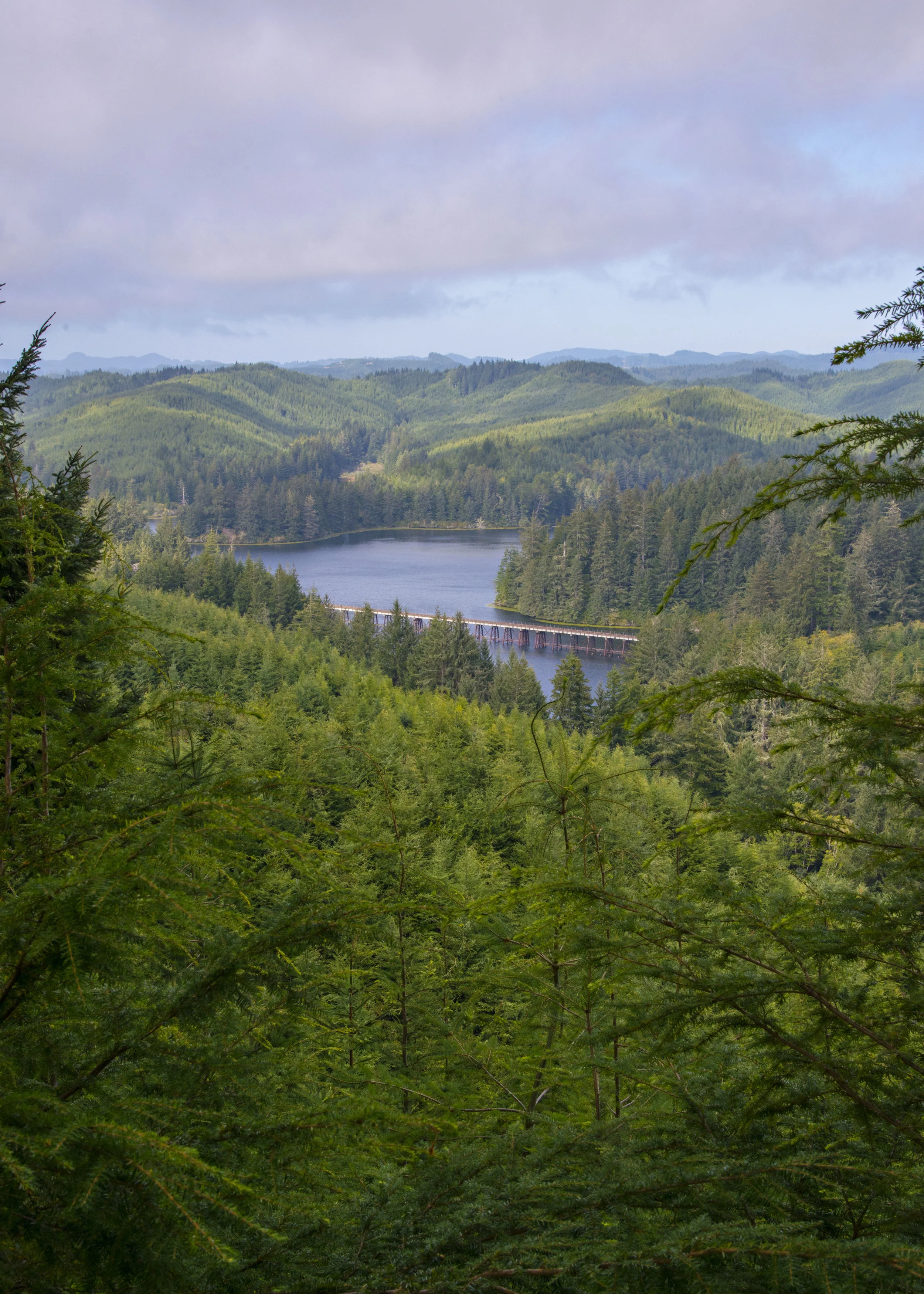 D8F_0191.jpg
