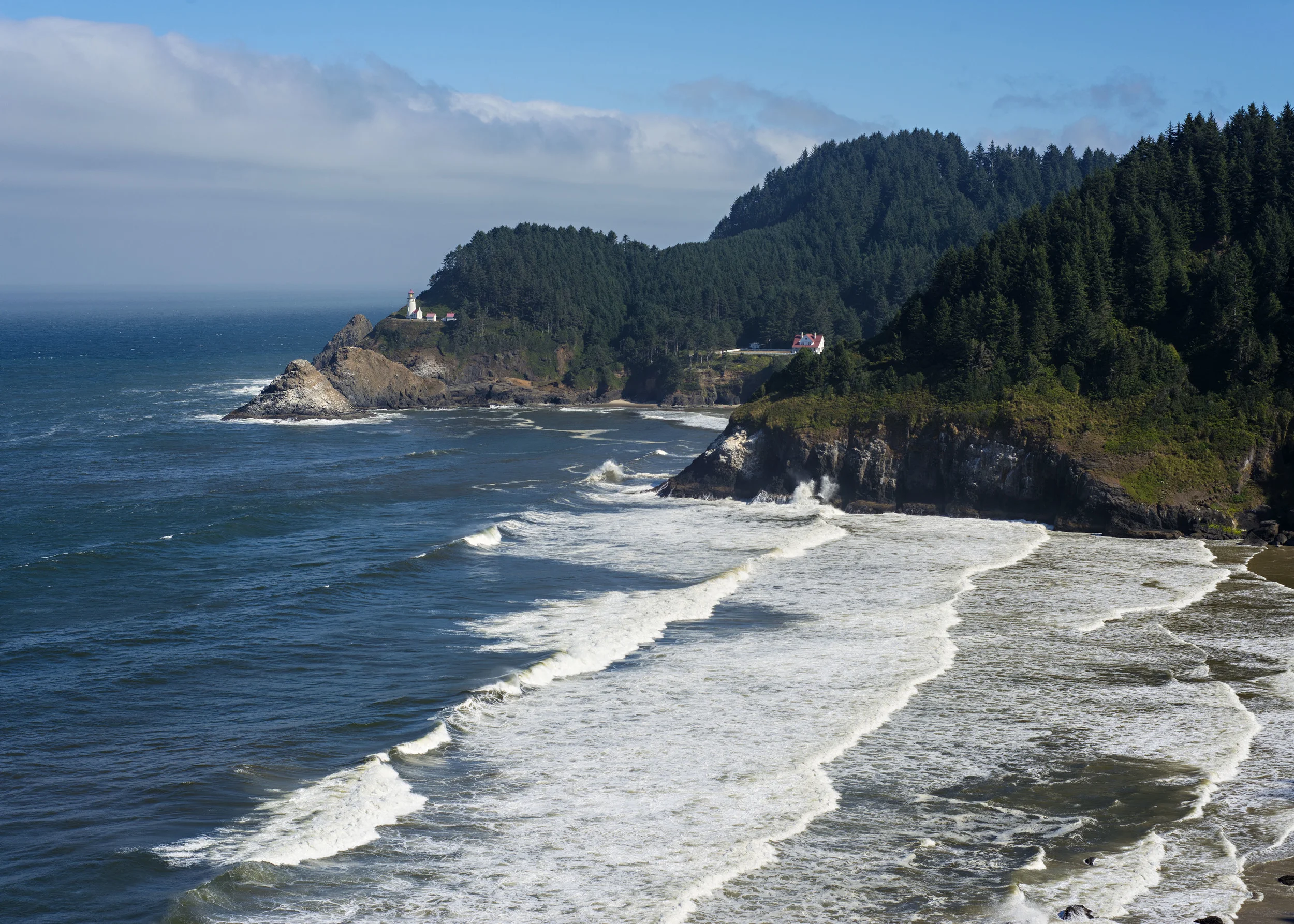 D8F_0217.jpg