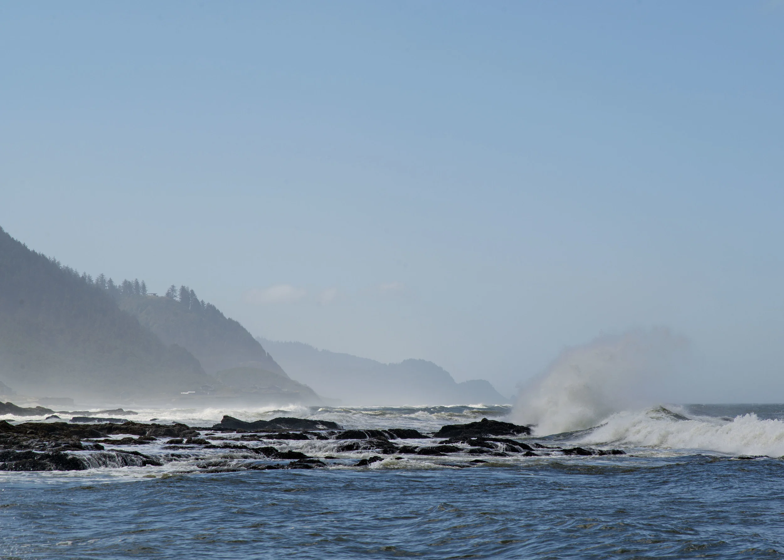 D8F_0254.jpg