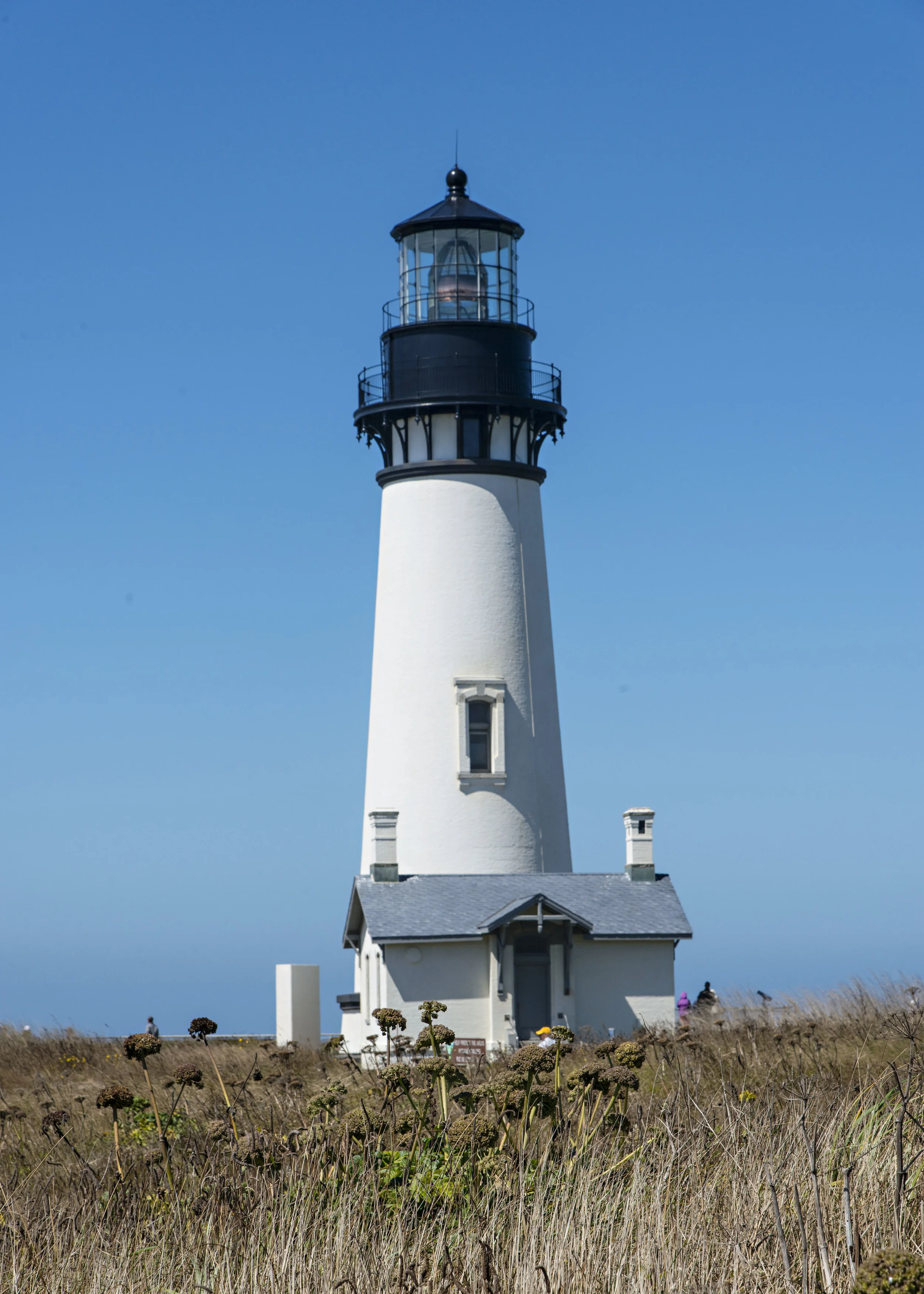 D8F_0319.jpg