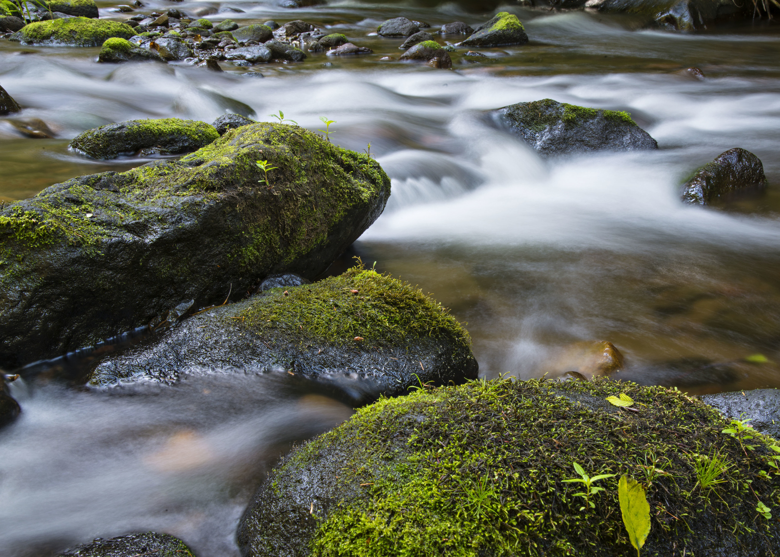 Stream and rocks at Mt. Hood. Nikon D800, Nikkor 24-120mm lens @ 44mm, f22, ISO 50, 4 sec, -2/3 stop exposure adjustment.