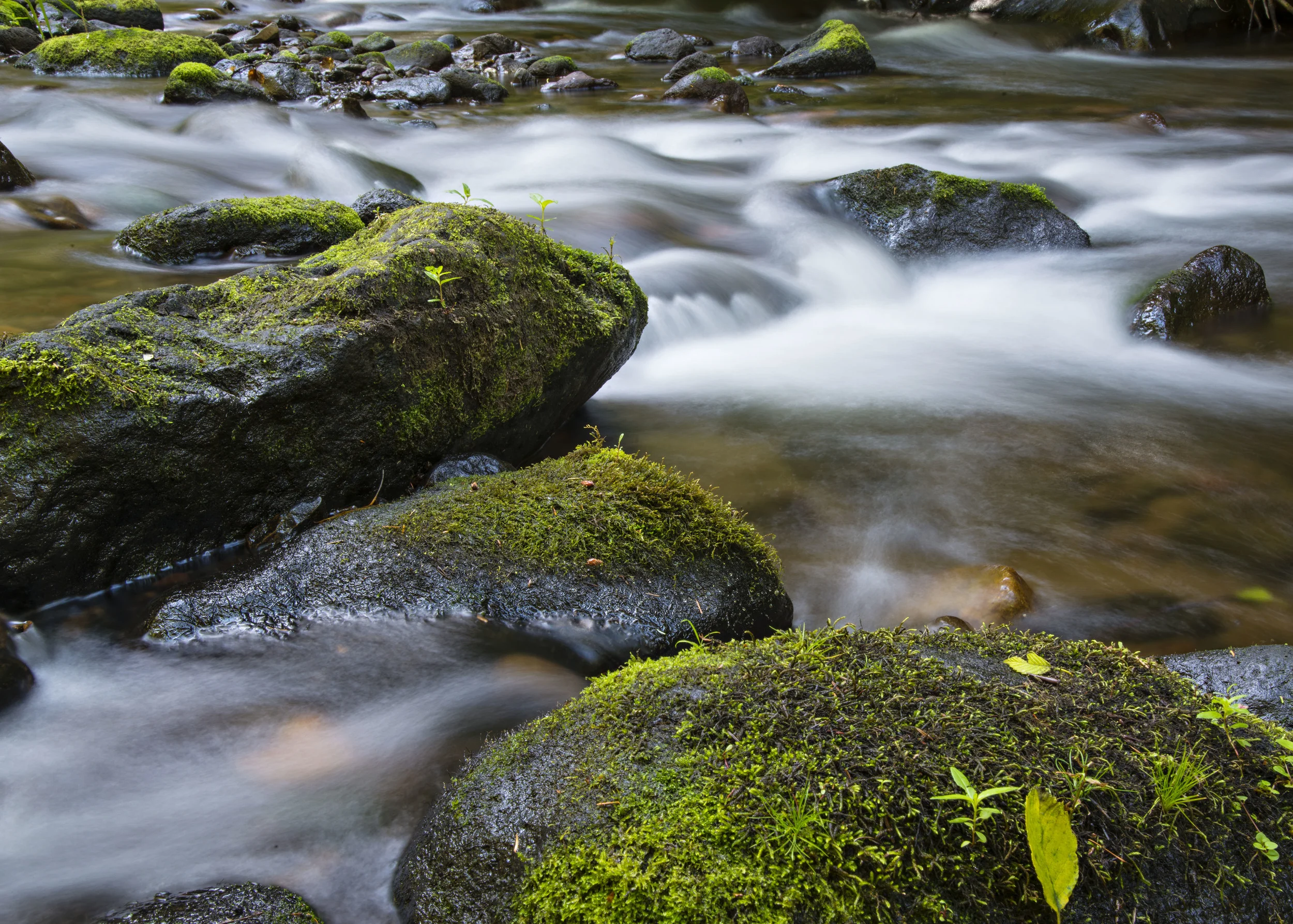 D8F_0400.jpg
