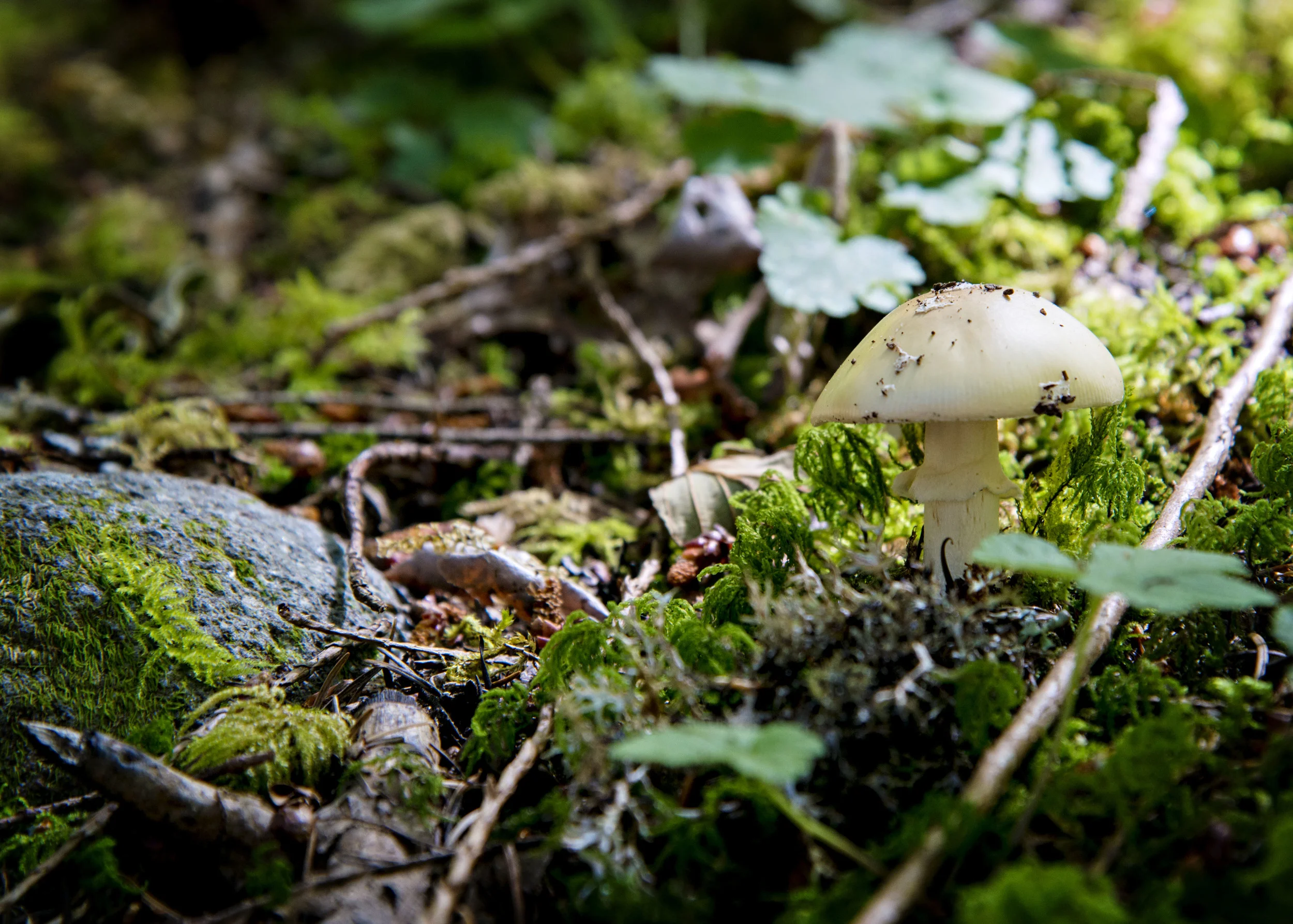 D8F_0408.jpg
