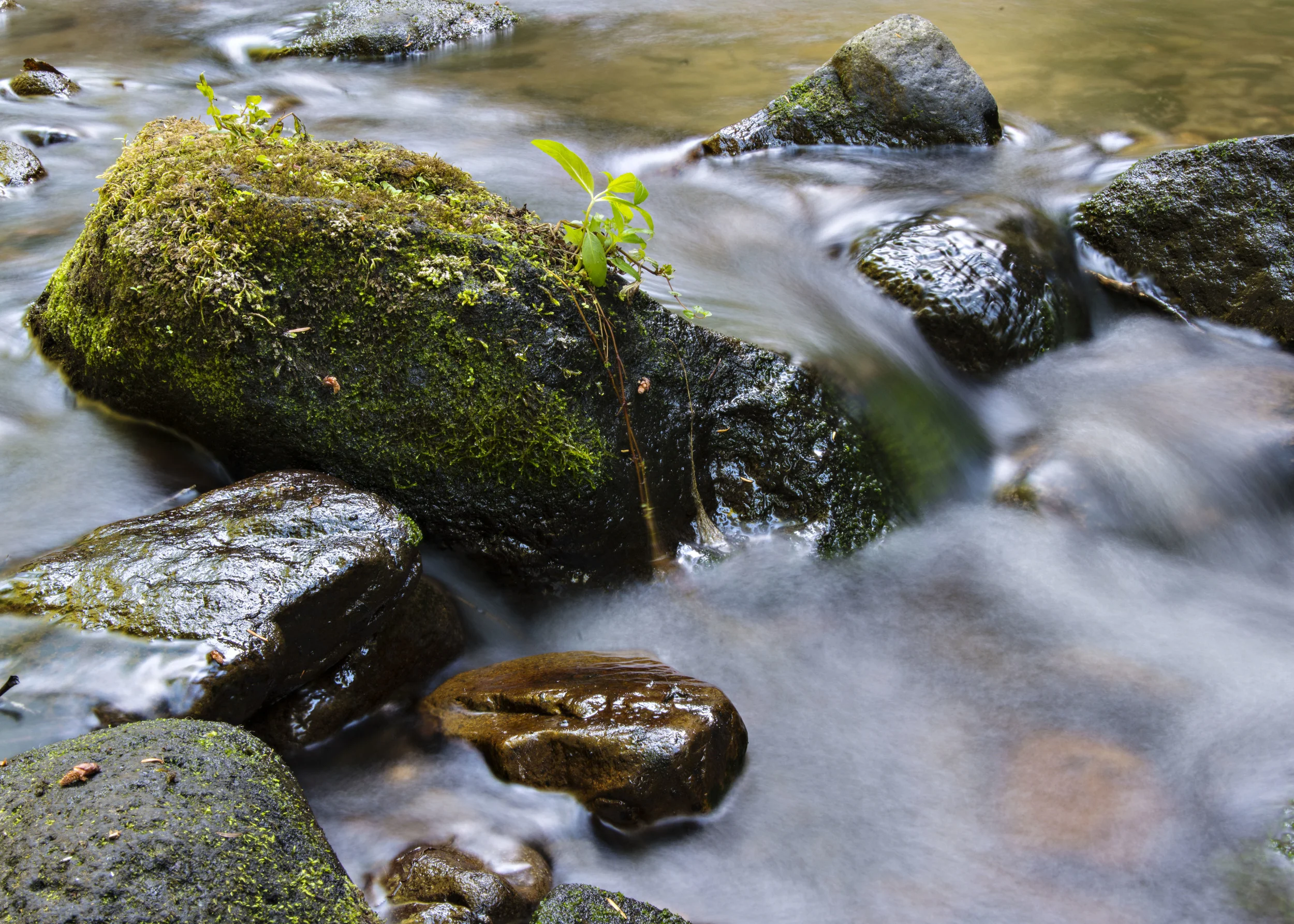 D8F_0402.jpg