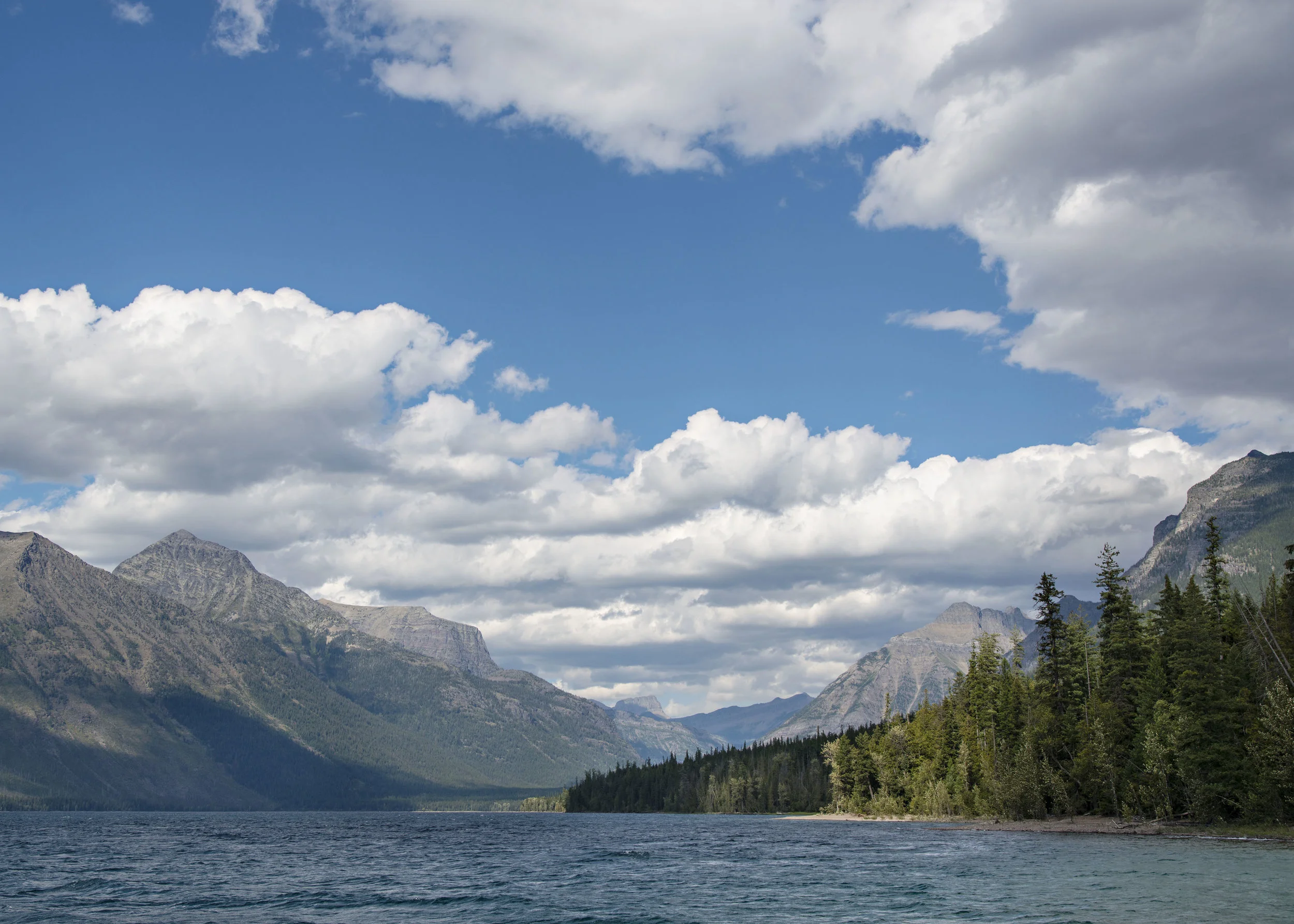 D8F_0452.jpg