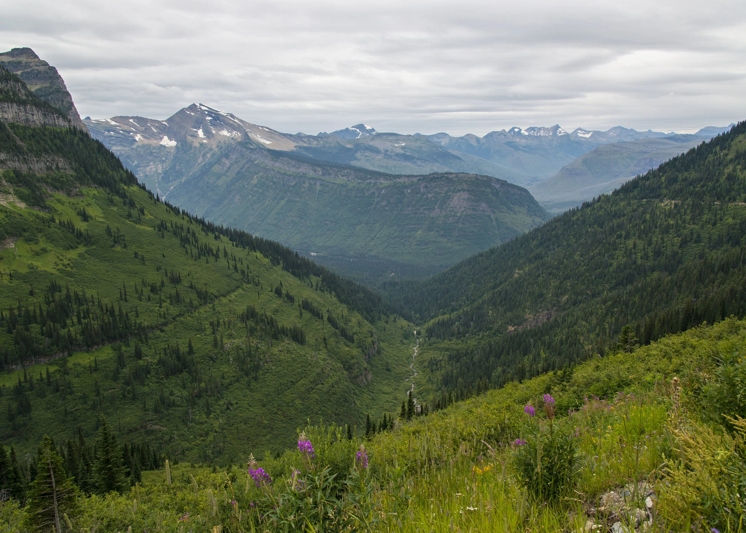 D8F_0508.jpg
