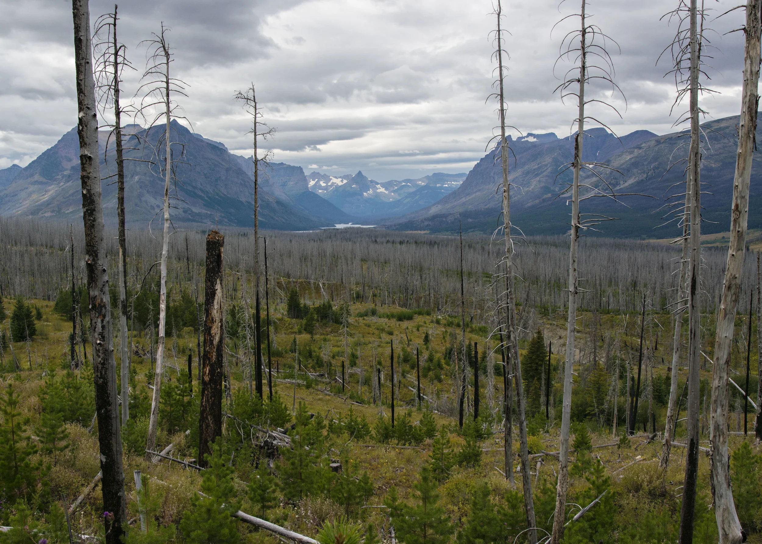 D8F_0516.jpg