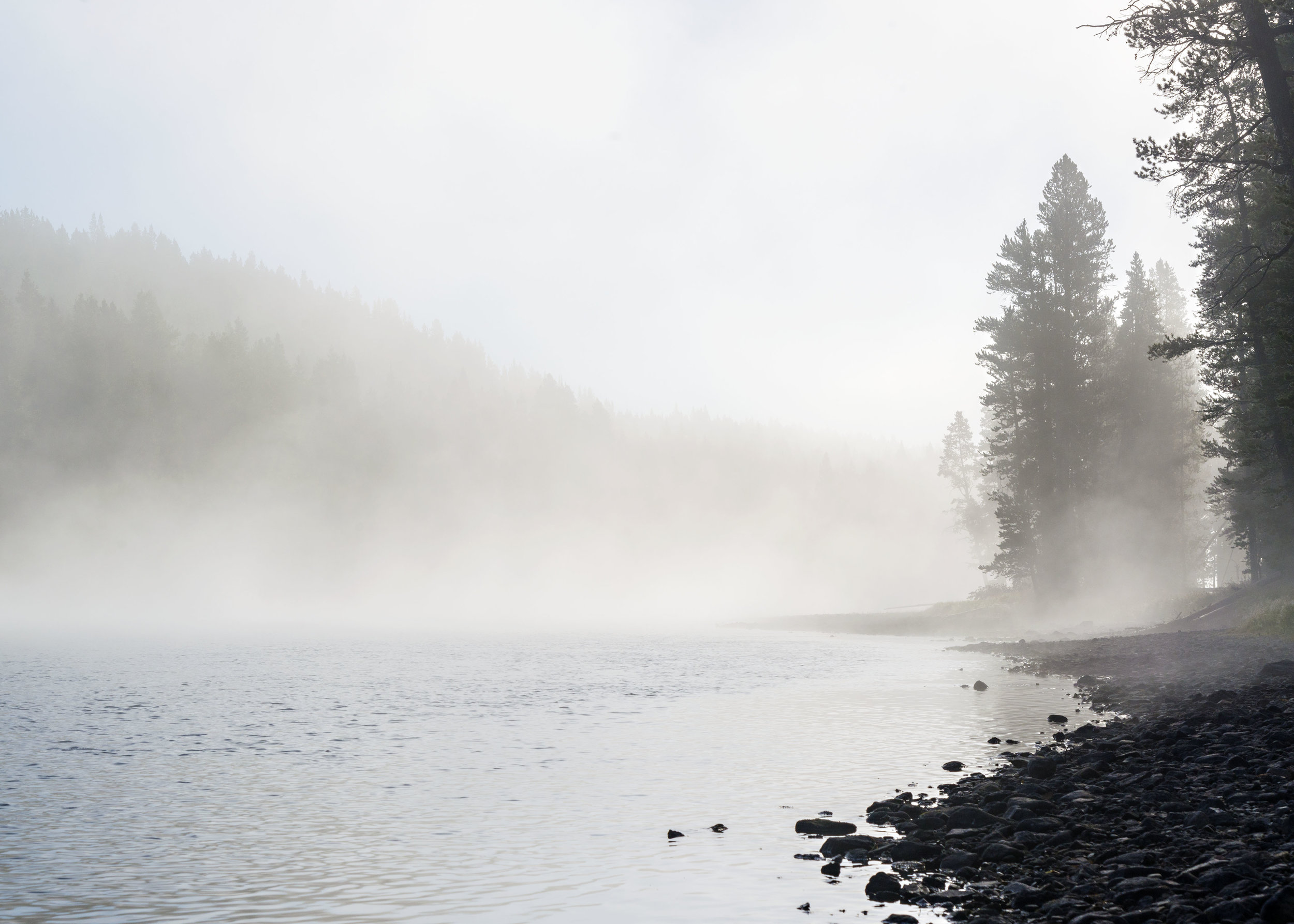 Steam rises over the Yellowstone River south of Canyon Lodge. The river is thermally heated, so on cold mornings, it creates a moody layer of fog. Nikon D800, Nikkor 24-120mm lens @ 62mm, ISO 250, f13, 1/1000 sec.