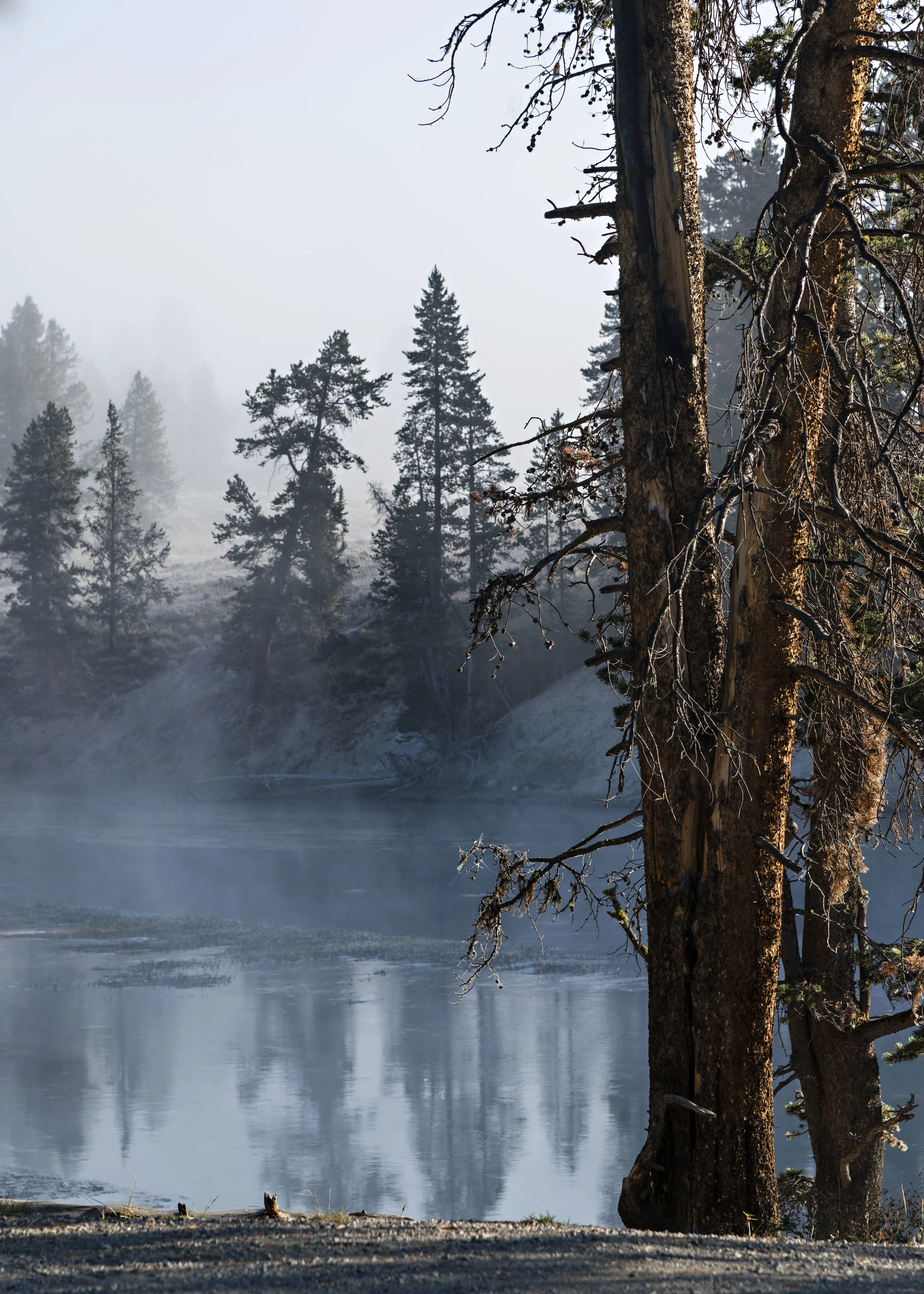 D8F_0564.jpg