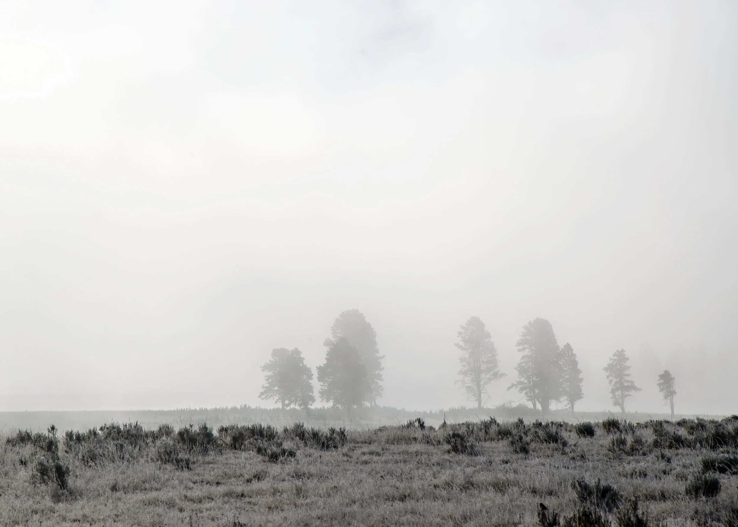 D8F_0572.jpg