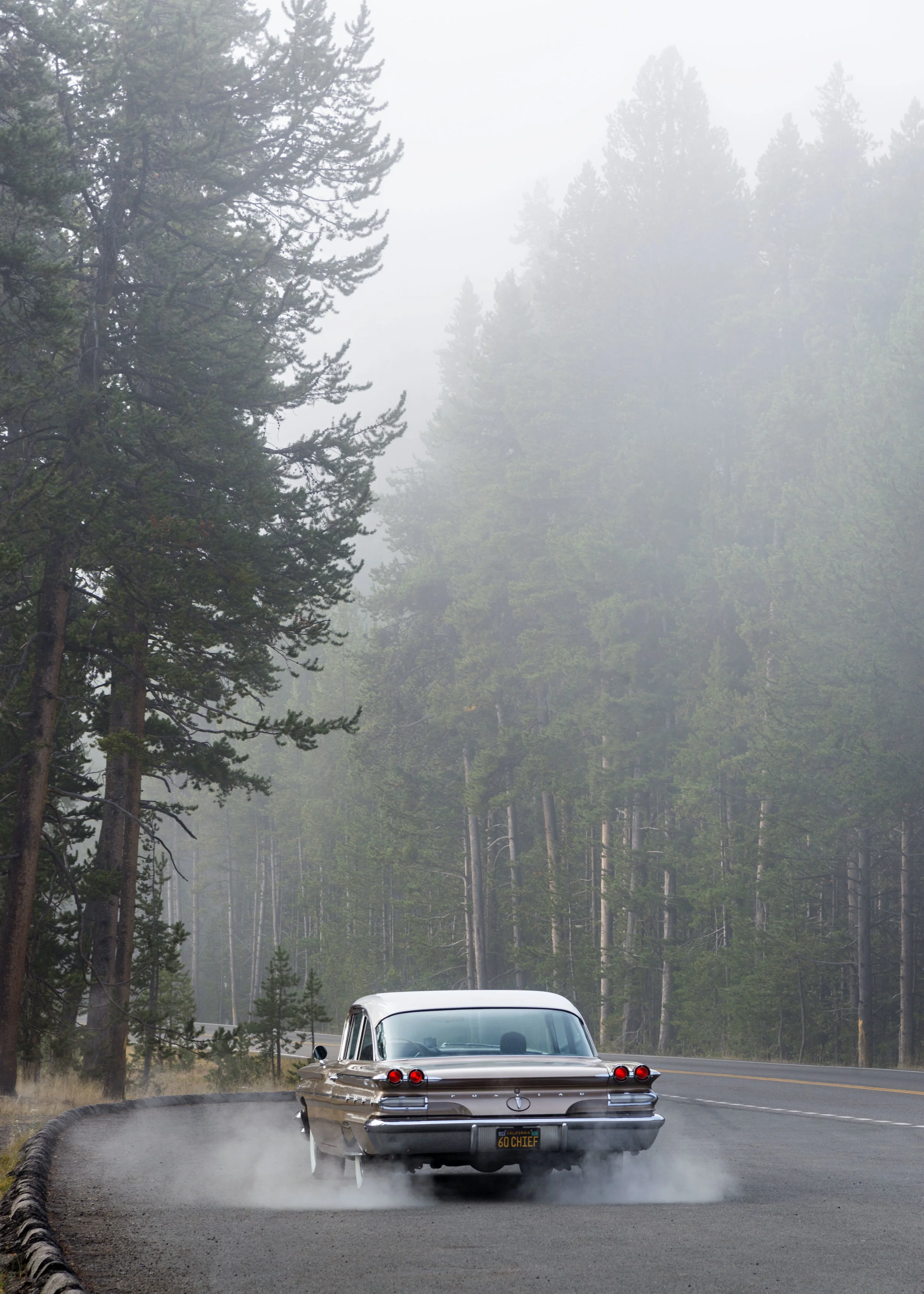 D8F_0598.jpg