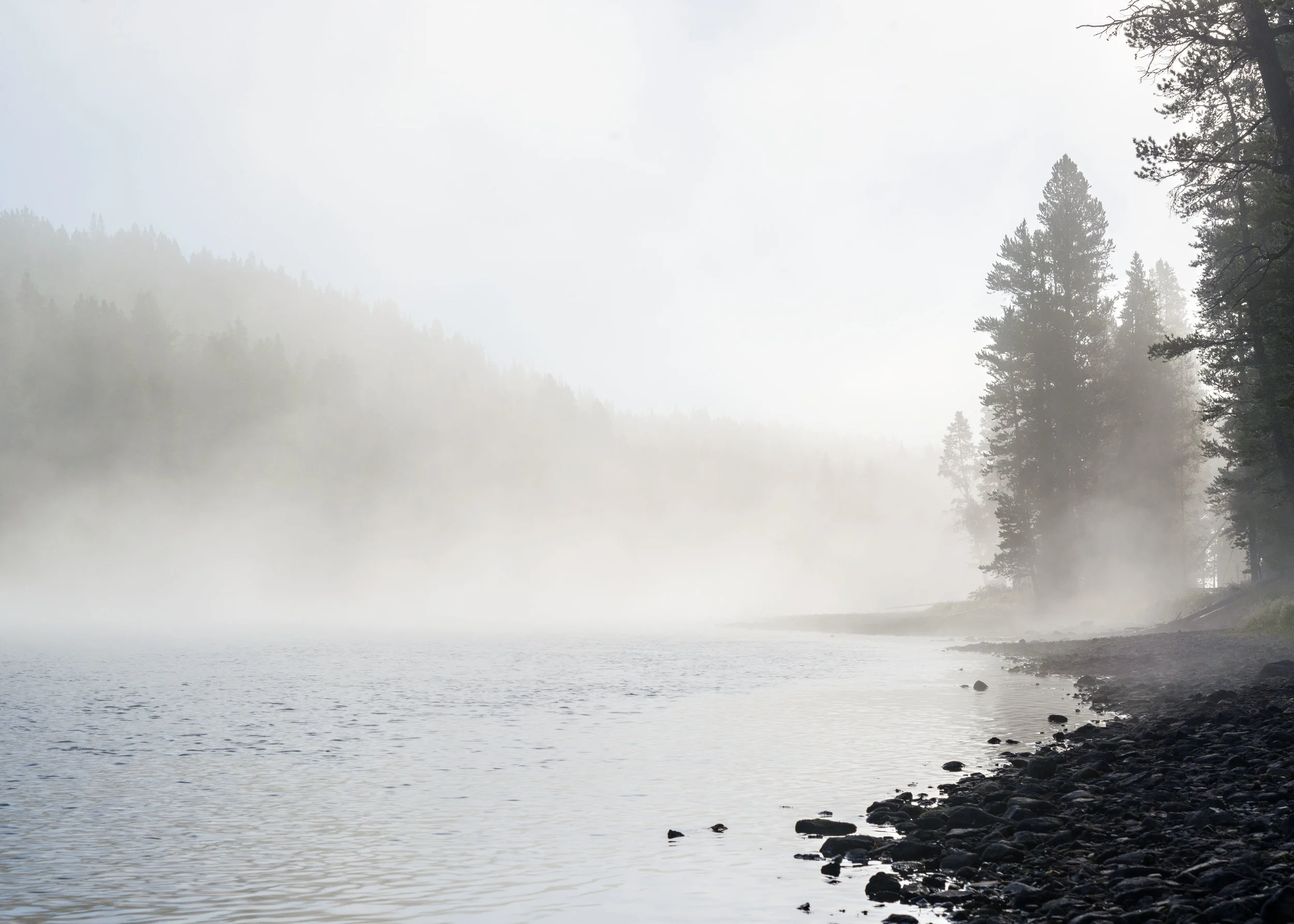 D8F_0615.jpg
