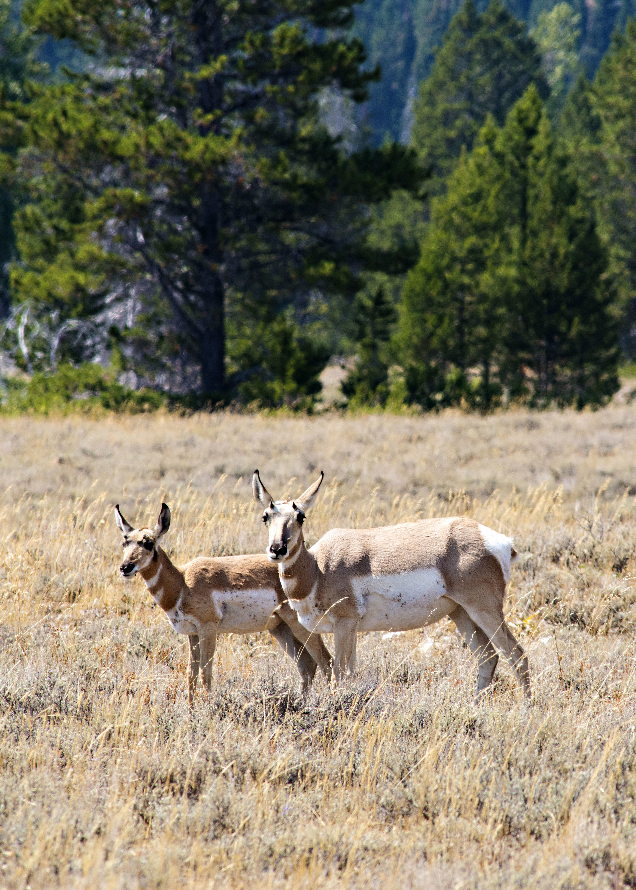 D8F_0811.jpg