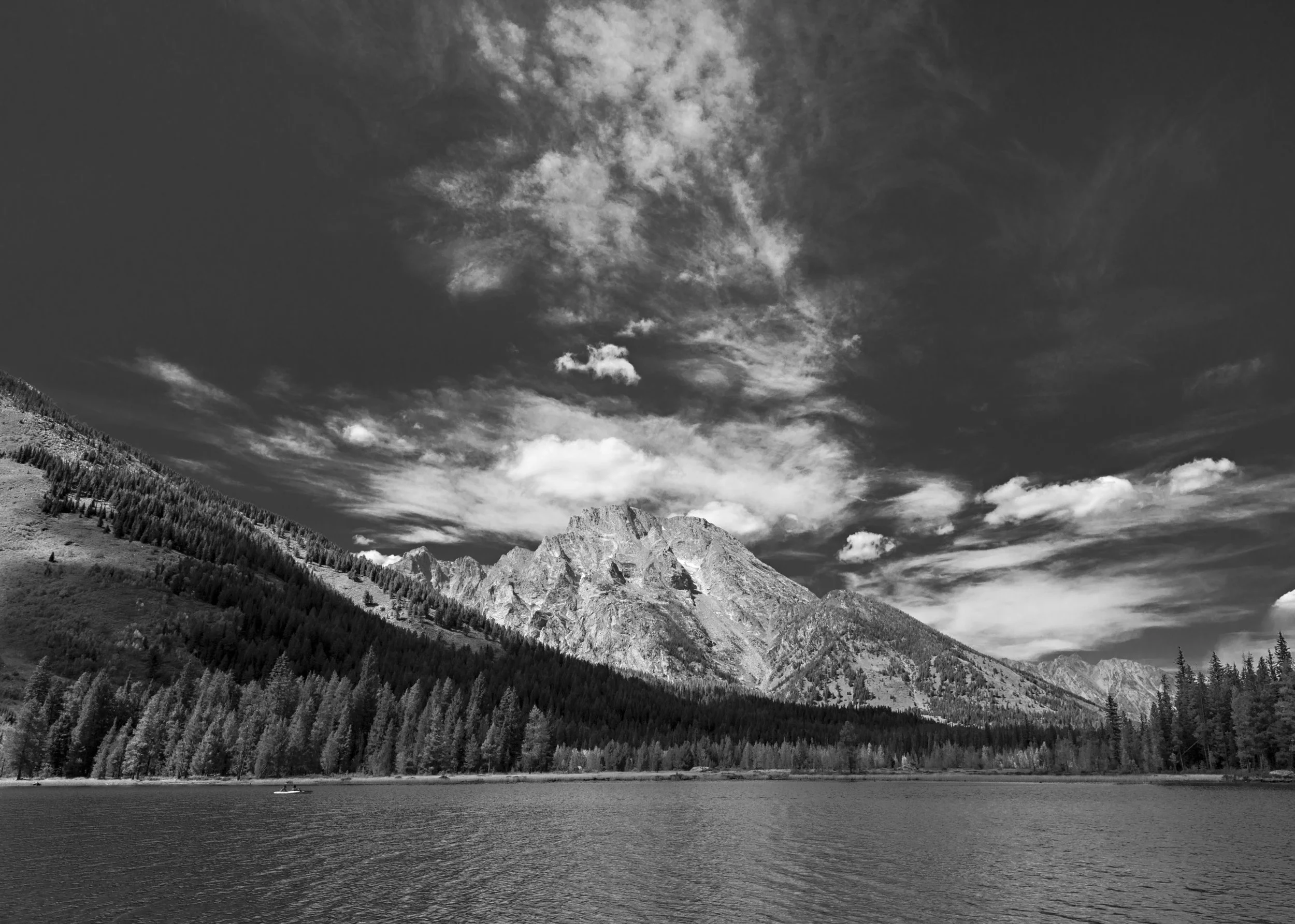 D8F_0871.jpg