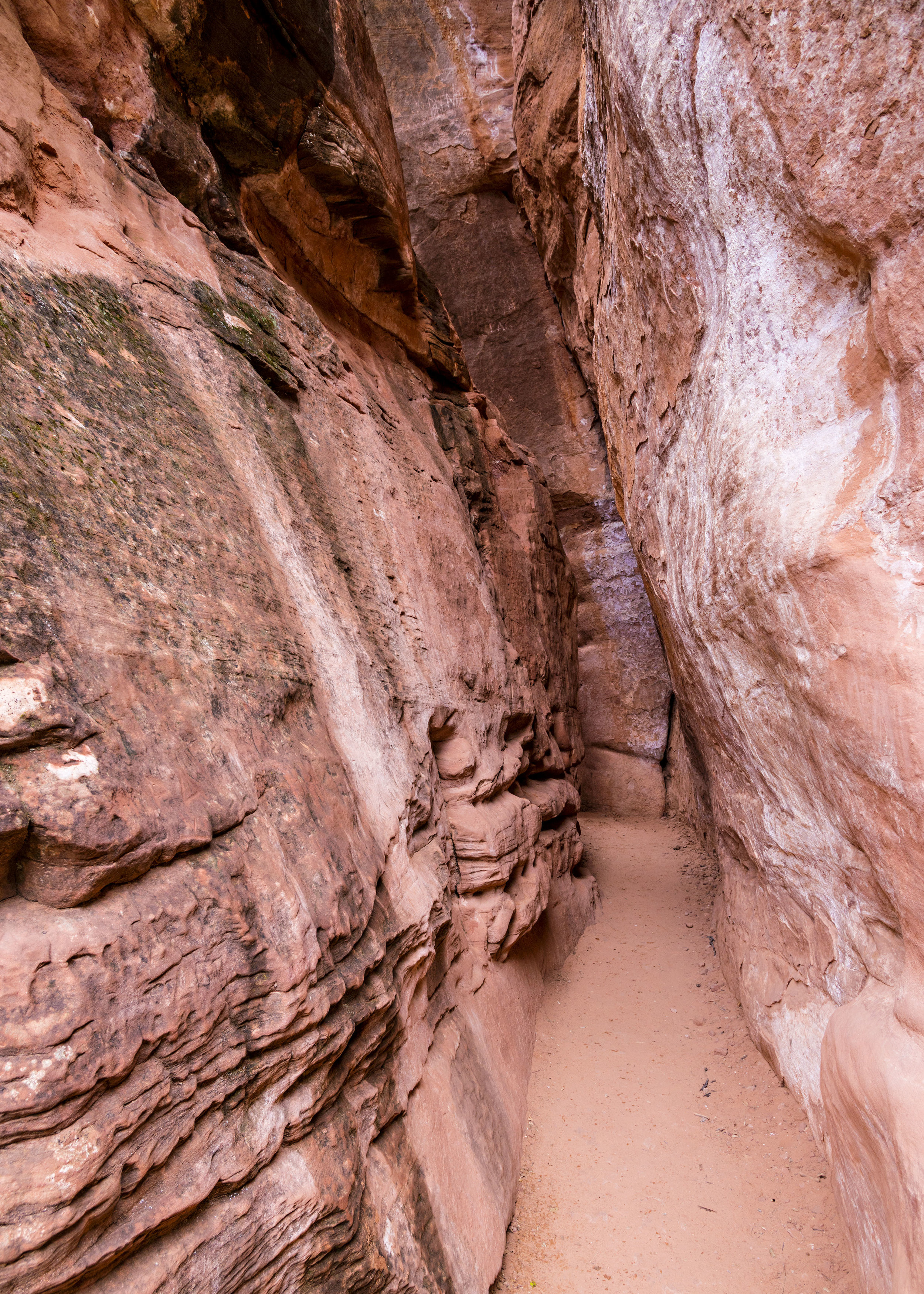 The Grotto, Zion National Park. Nikon D800, Nikkor 24-120mm lens @ 24mm, ISO 400, f8, 1/30 sec, -2/3 stop exposure adjustment.