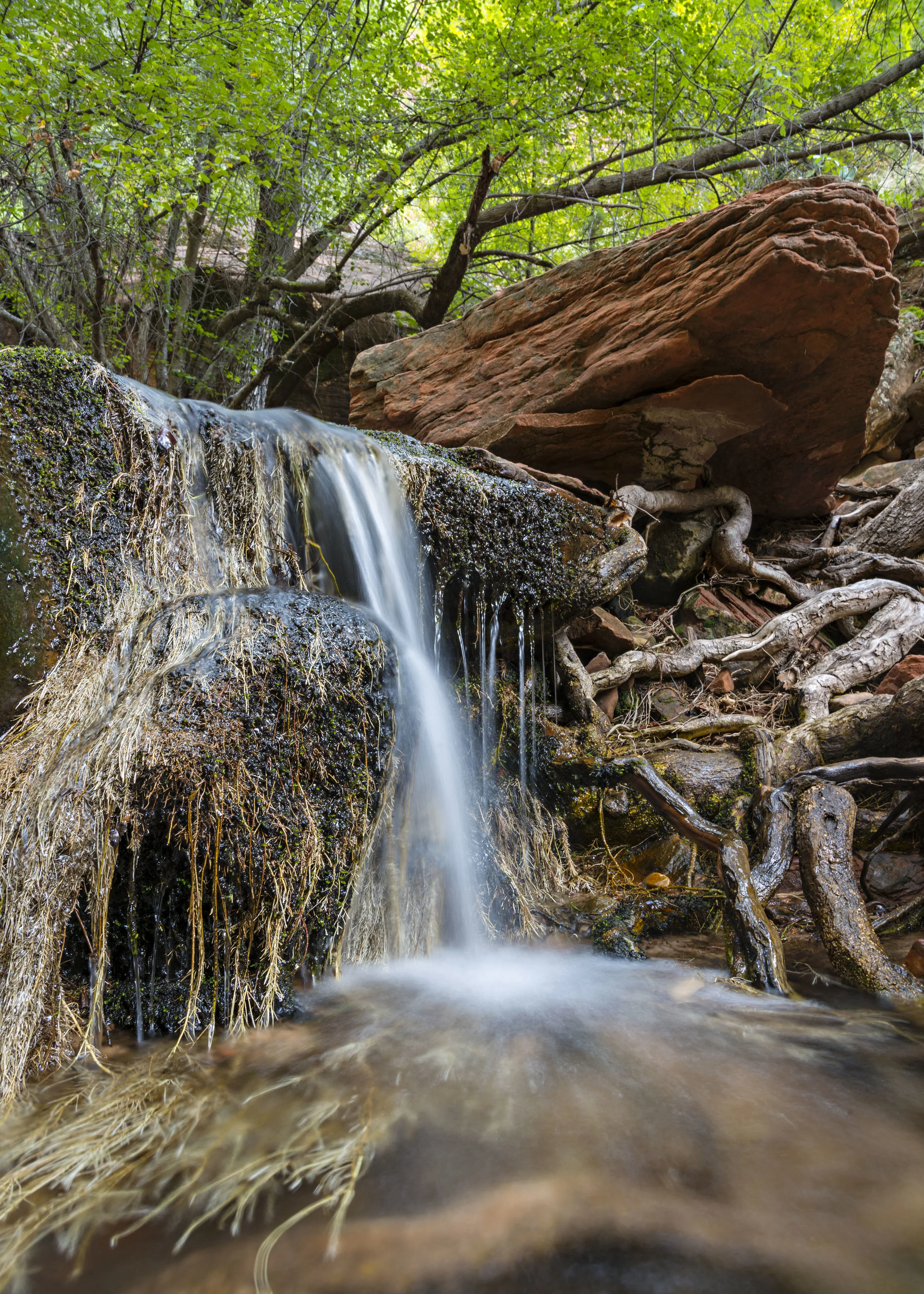 D8F_1207.jpg