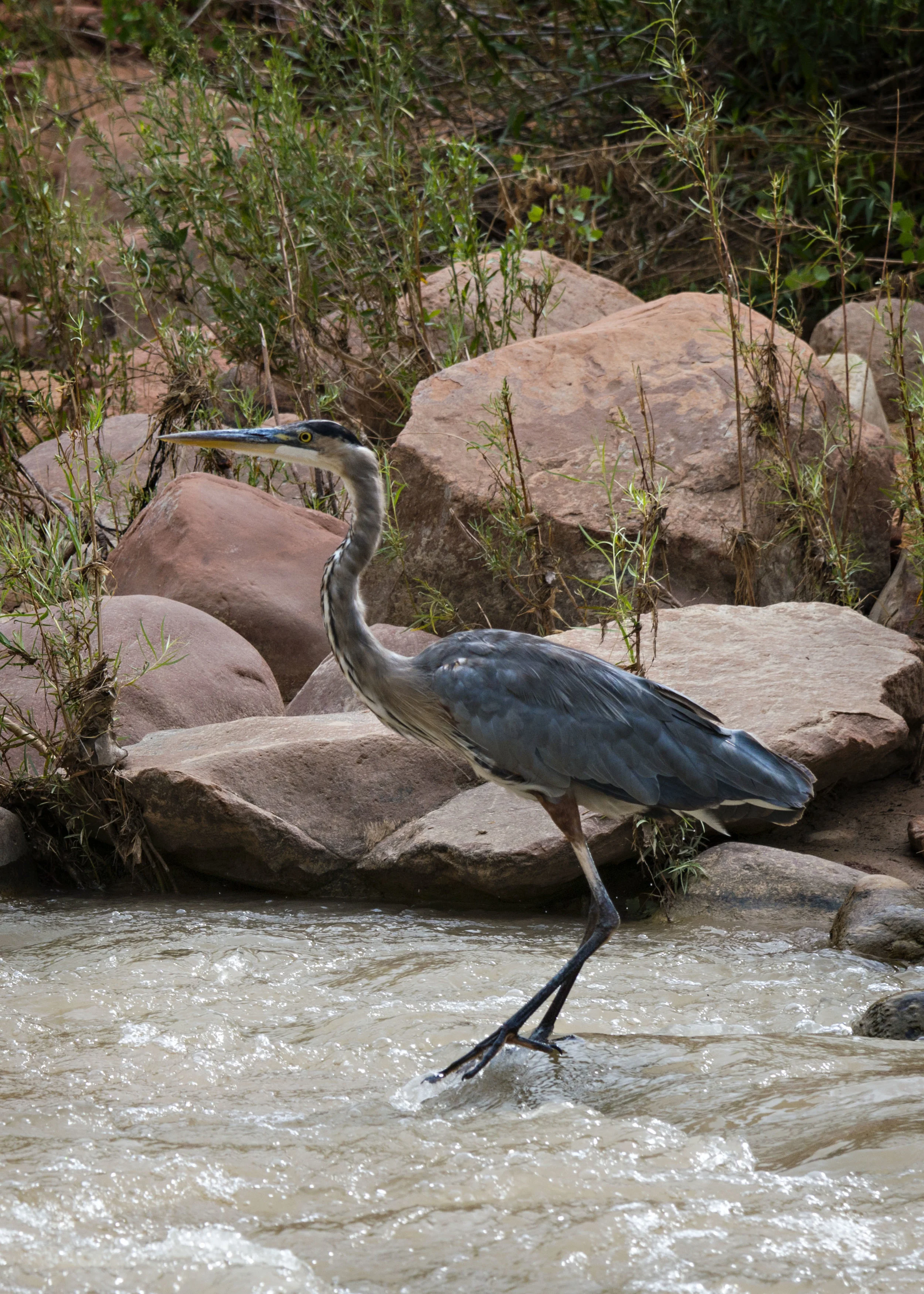 D8F_1292.jpg