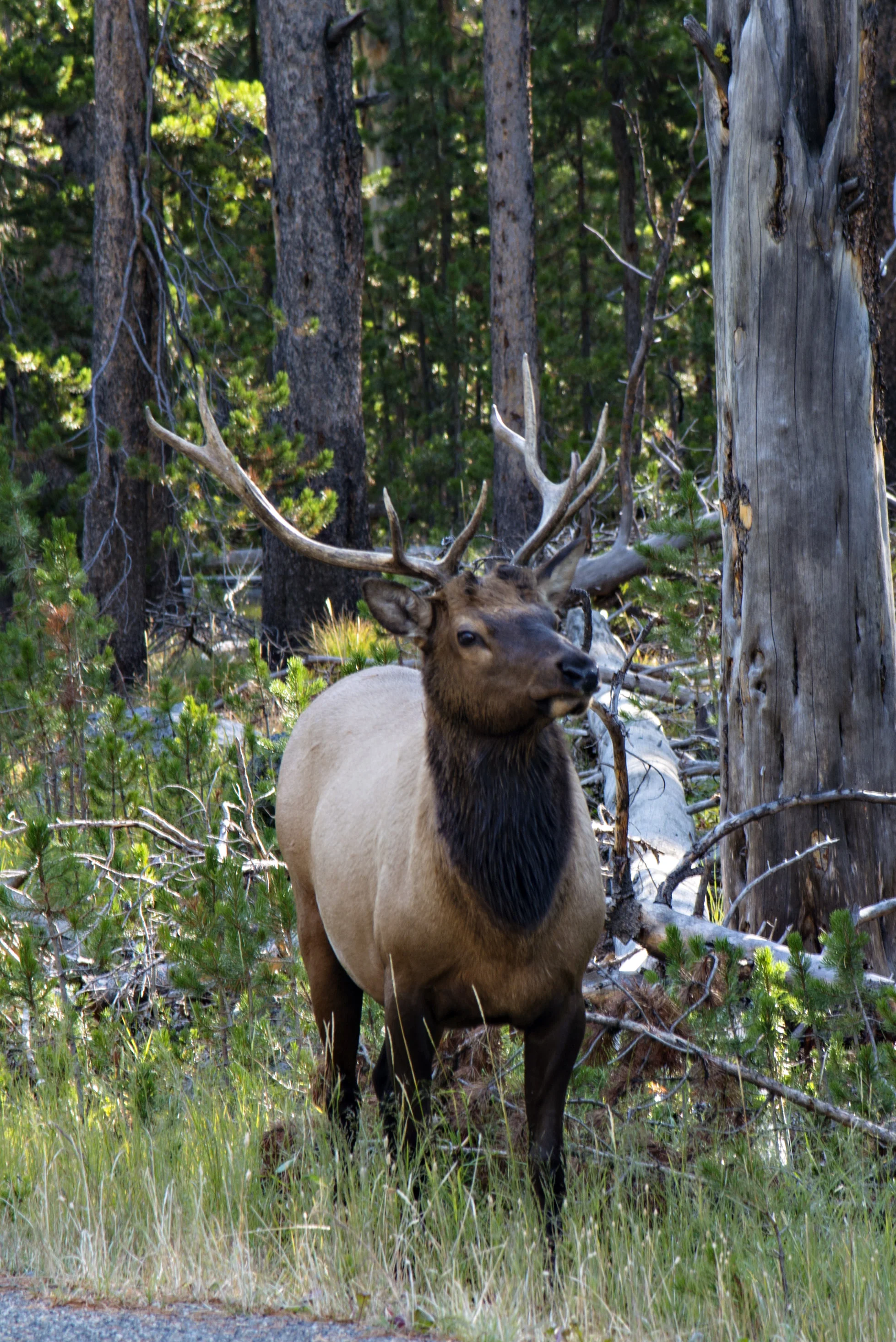 D8F_2172.jpg