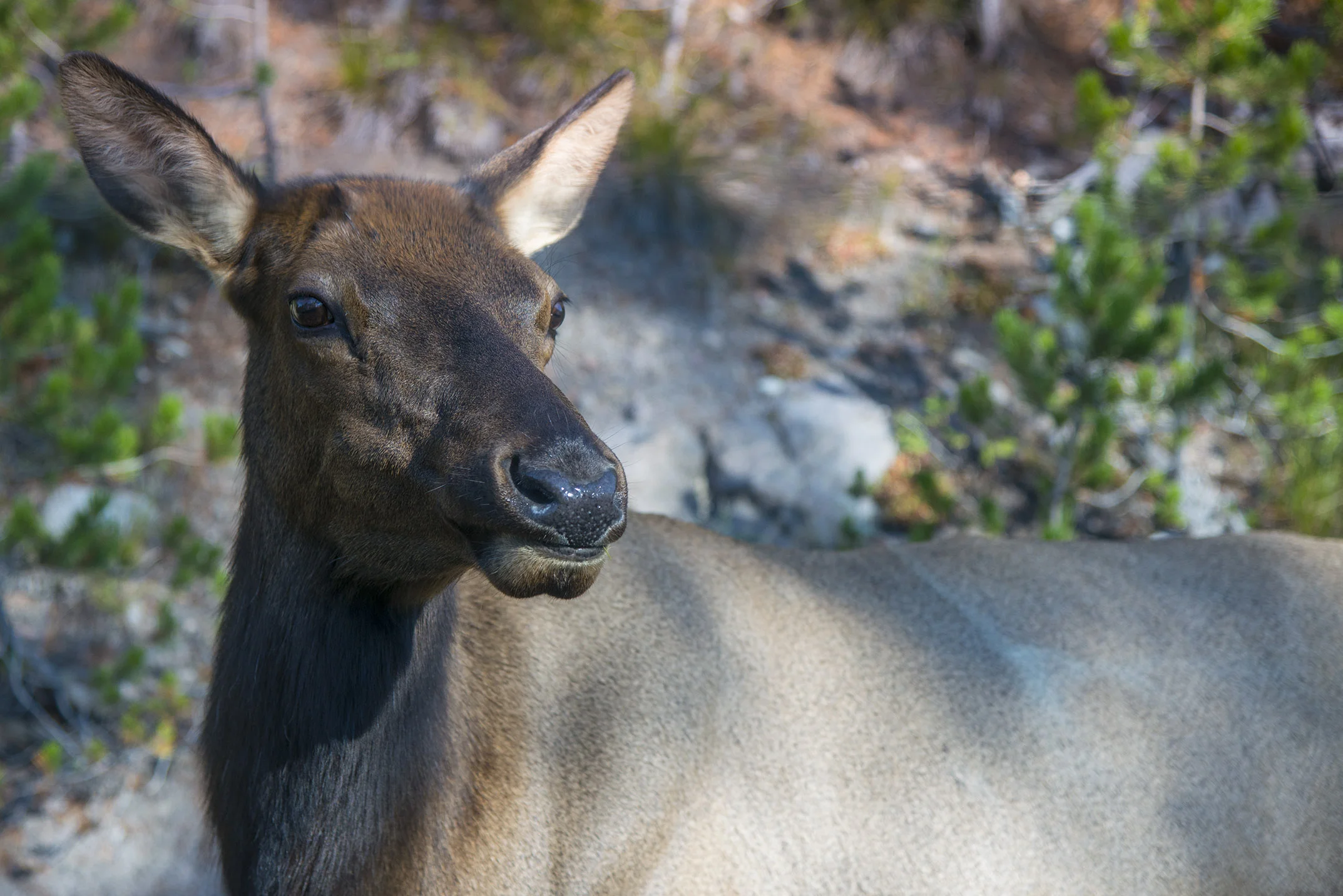 D8F_2184.jpg