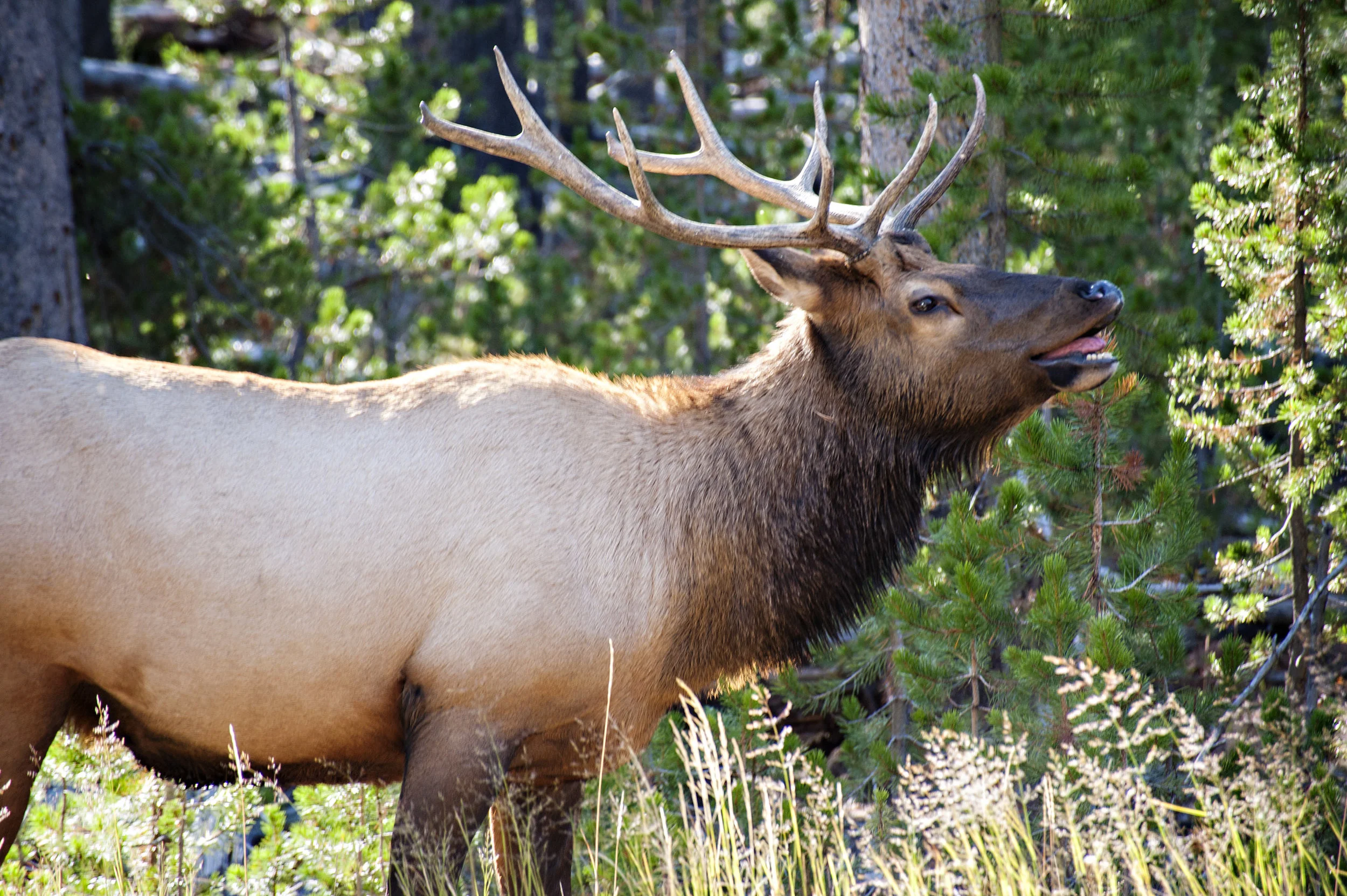 D7F_8497.jpg