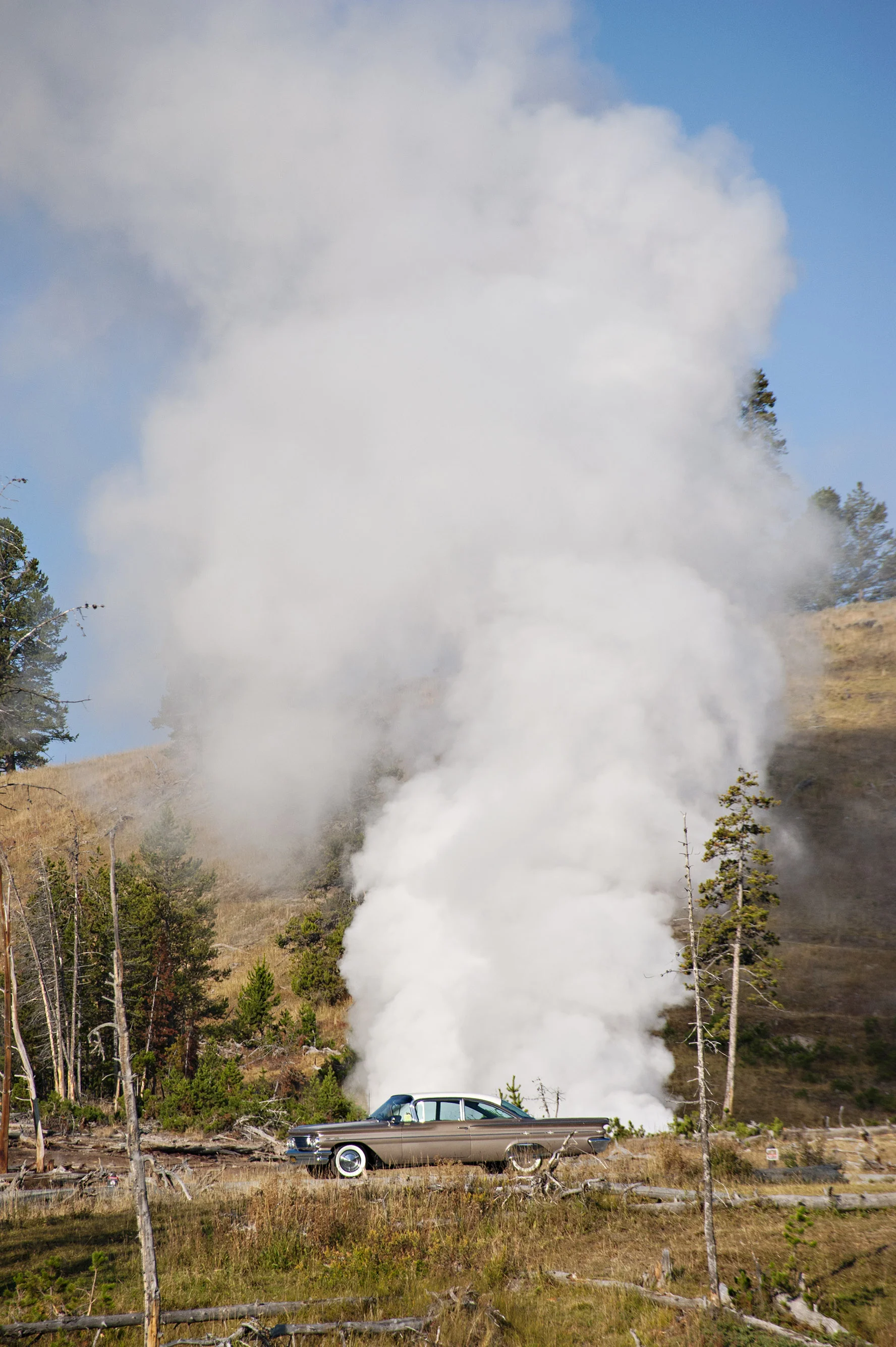 D7F_8482.jpg