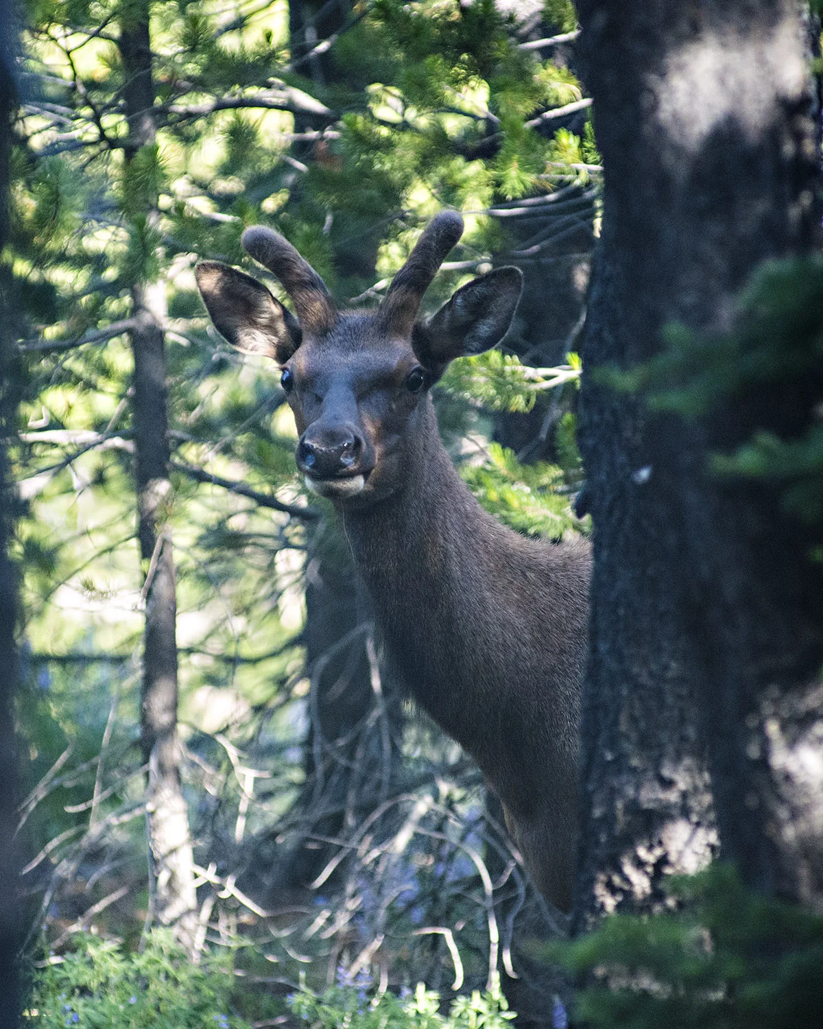 D8F_2646.jpg