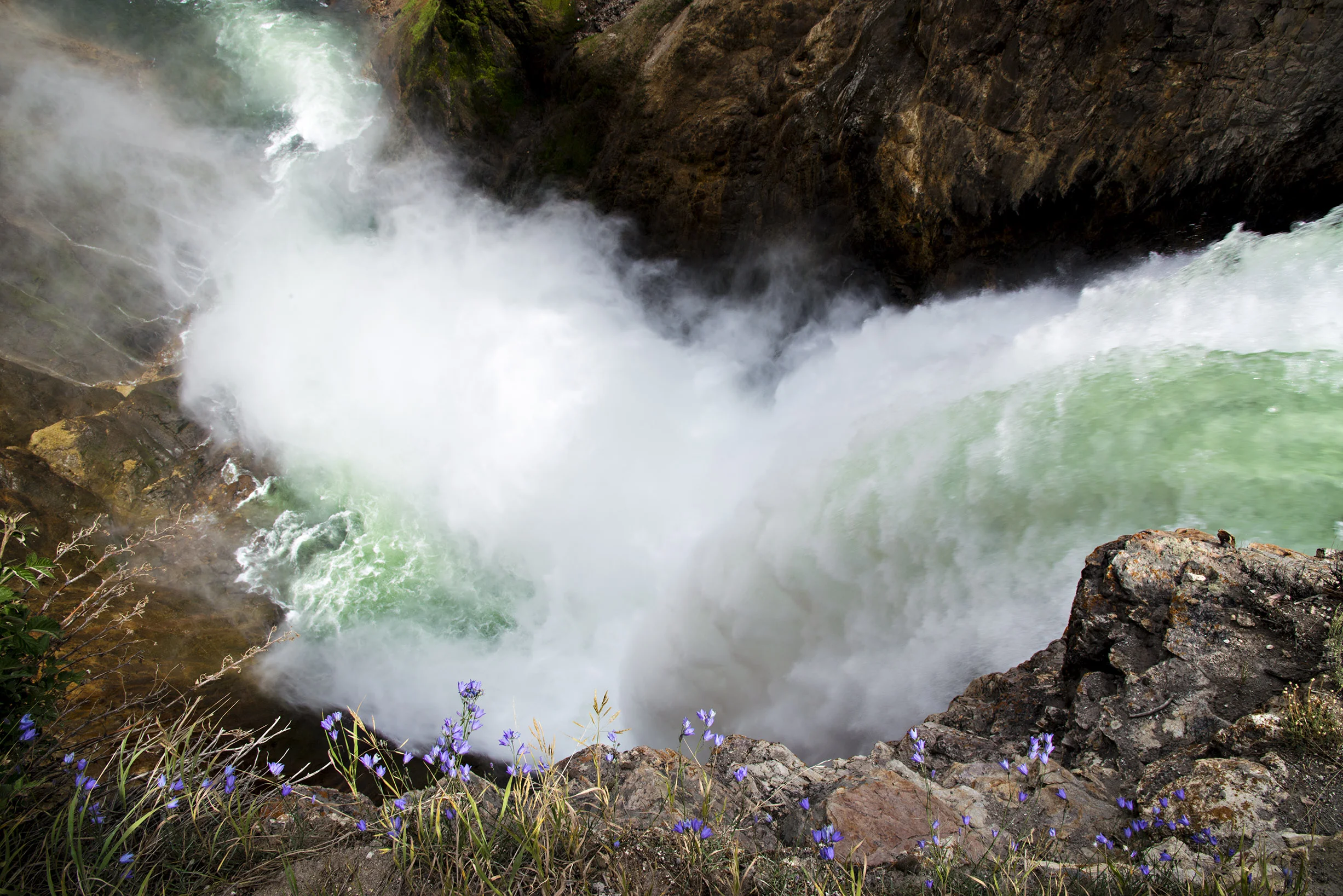 D8F_2714.jpg