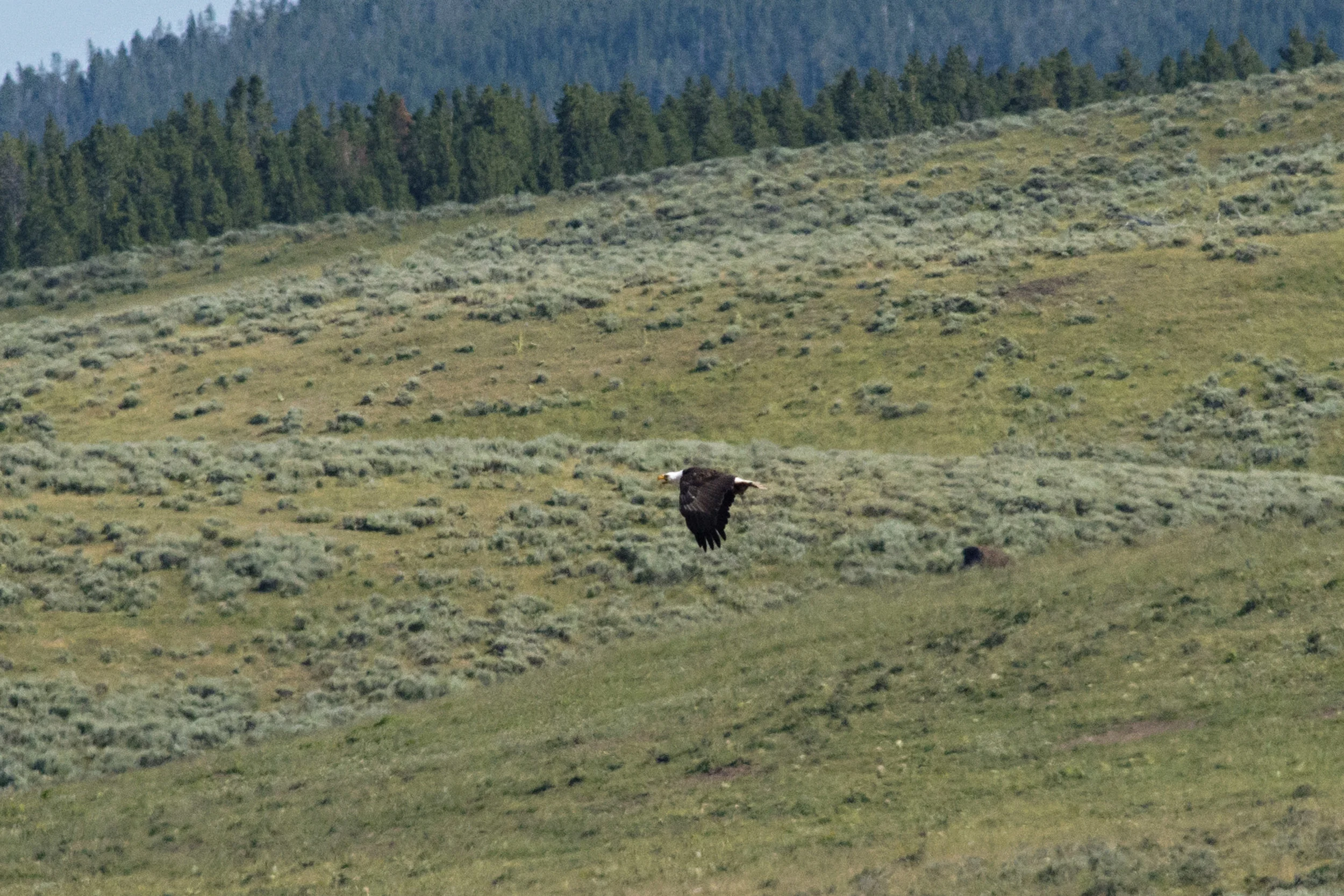 D8F_2861.jpg