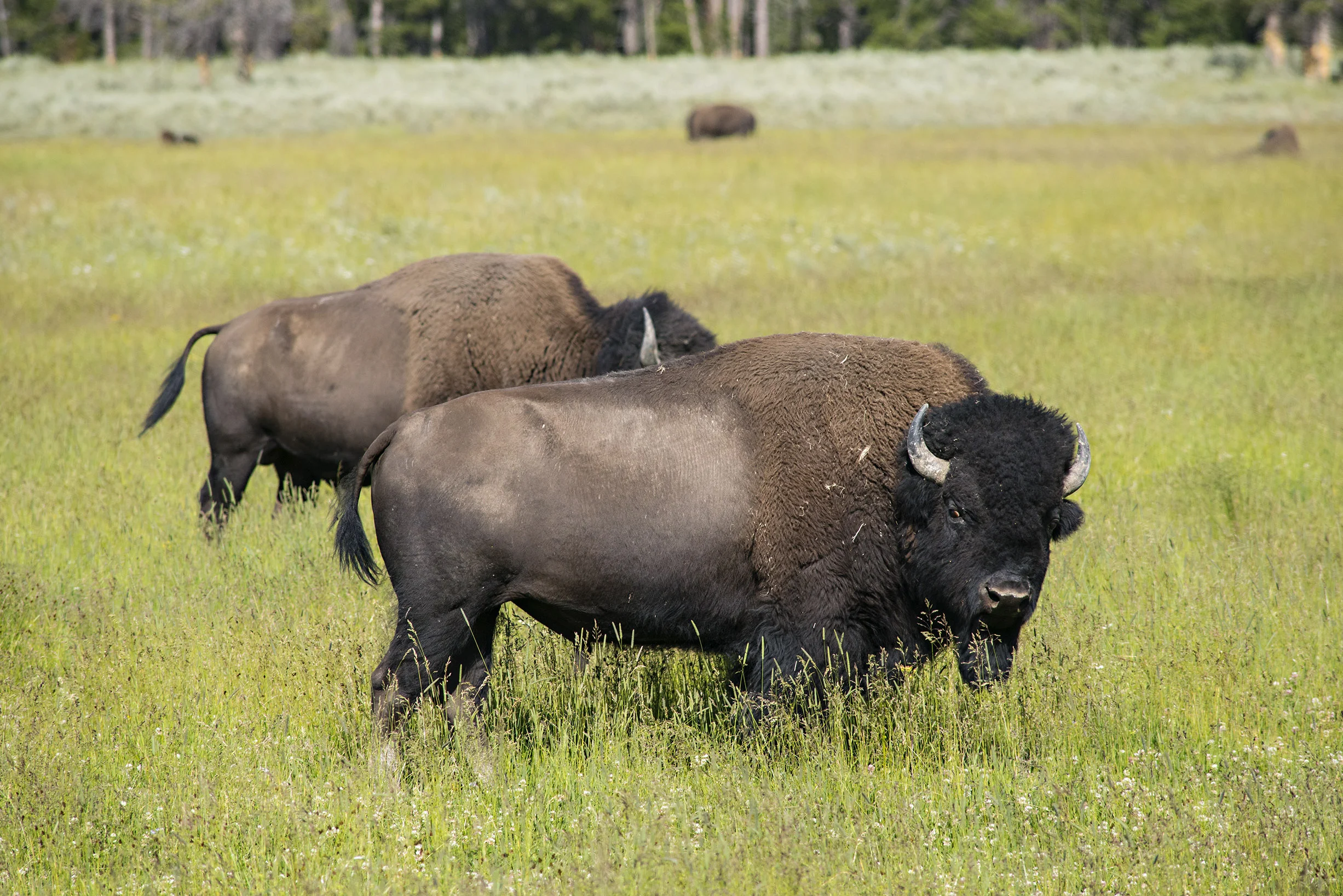 D8F_2873.jpg