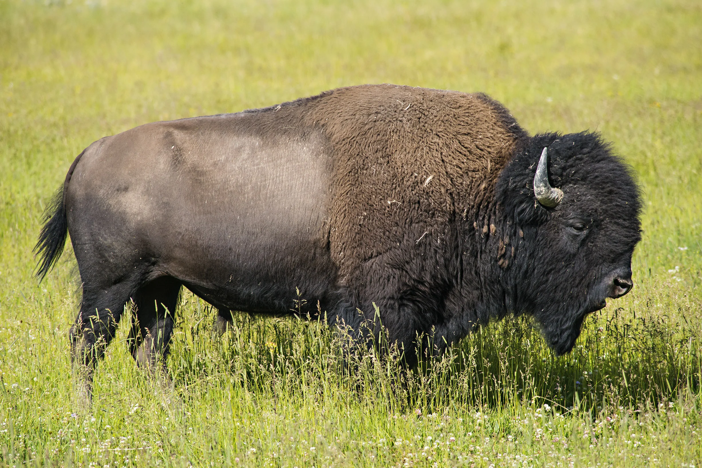 D8F_2876.jpg