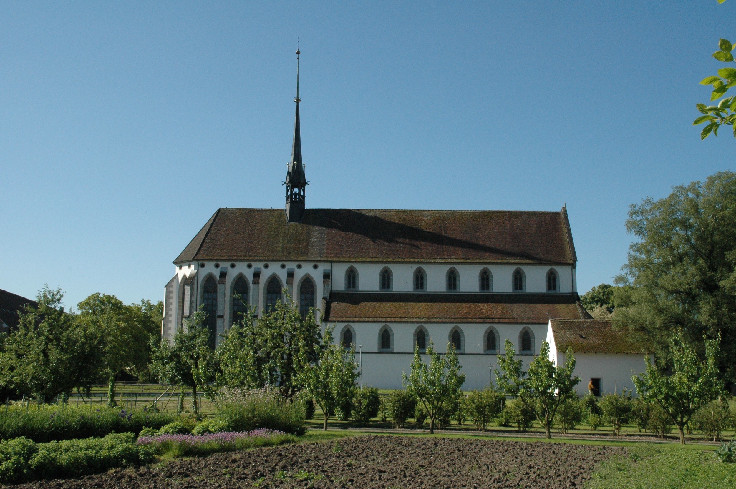  Klosterkirche Königsfelden / Windisch 