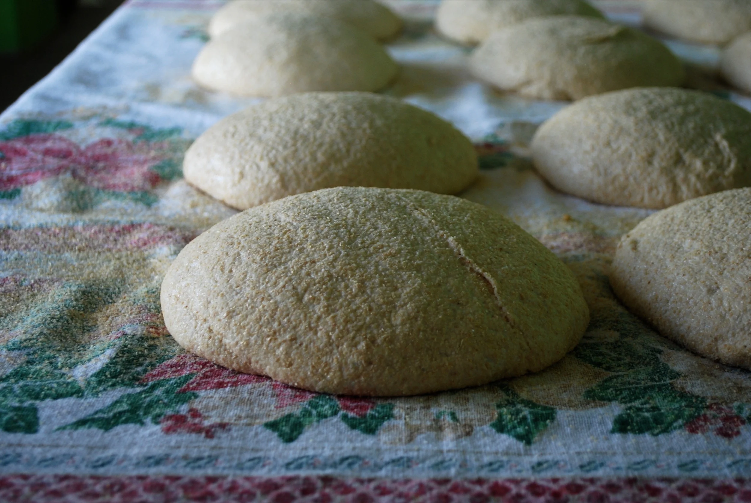 Proofing Whole Grain Dough