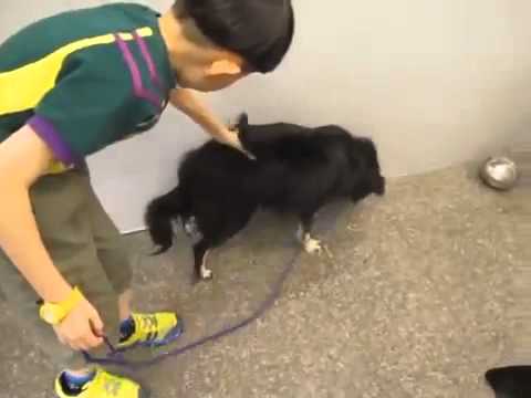Paris meets a little boy
