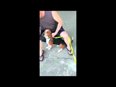 Cupid meets a stranger