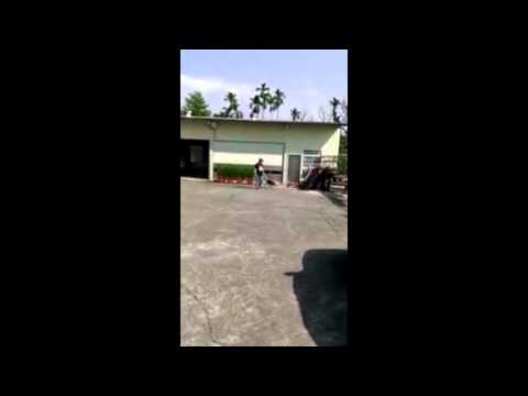 Cupid walks good on leash