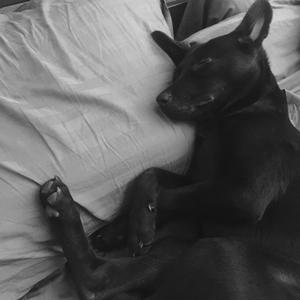 Nooope, not getting out of the bed