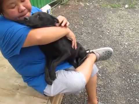 Naomi enjoys being pet