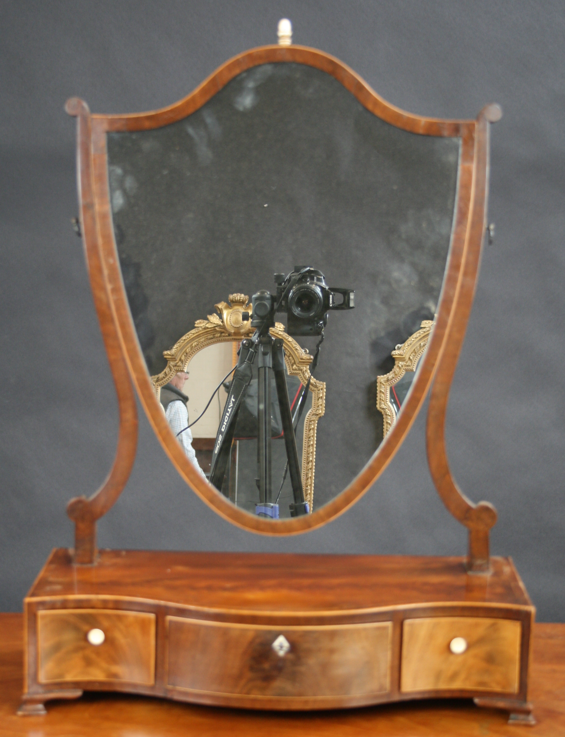 h5746f.JPG