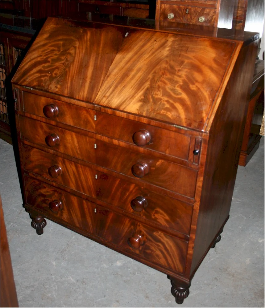 William IV Flared Mahogany 4 Drawer Bureau on Reeded Bun Feet