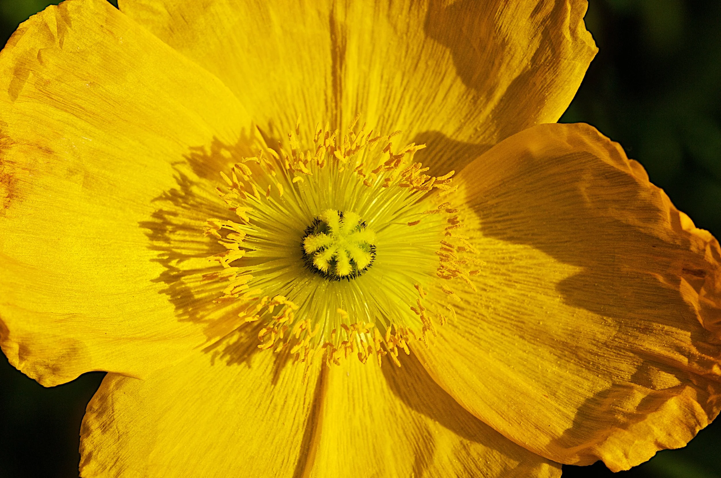 D2X_3862.jpg