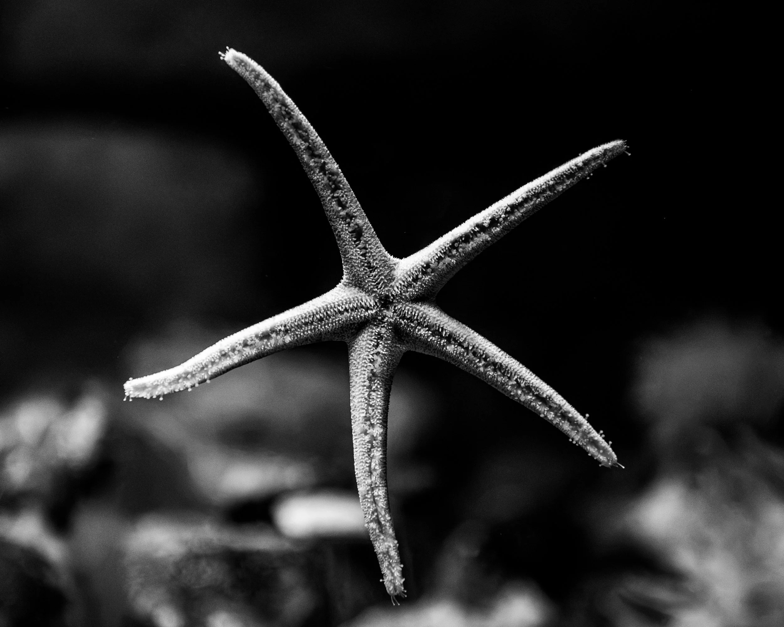 D5X_0279.jpg