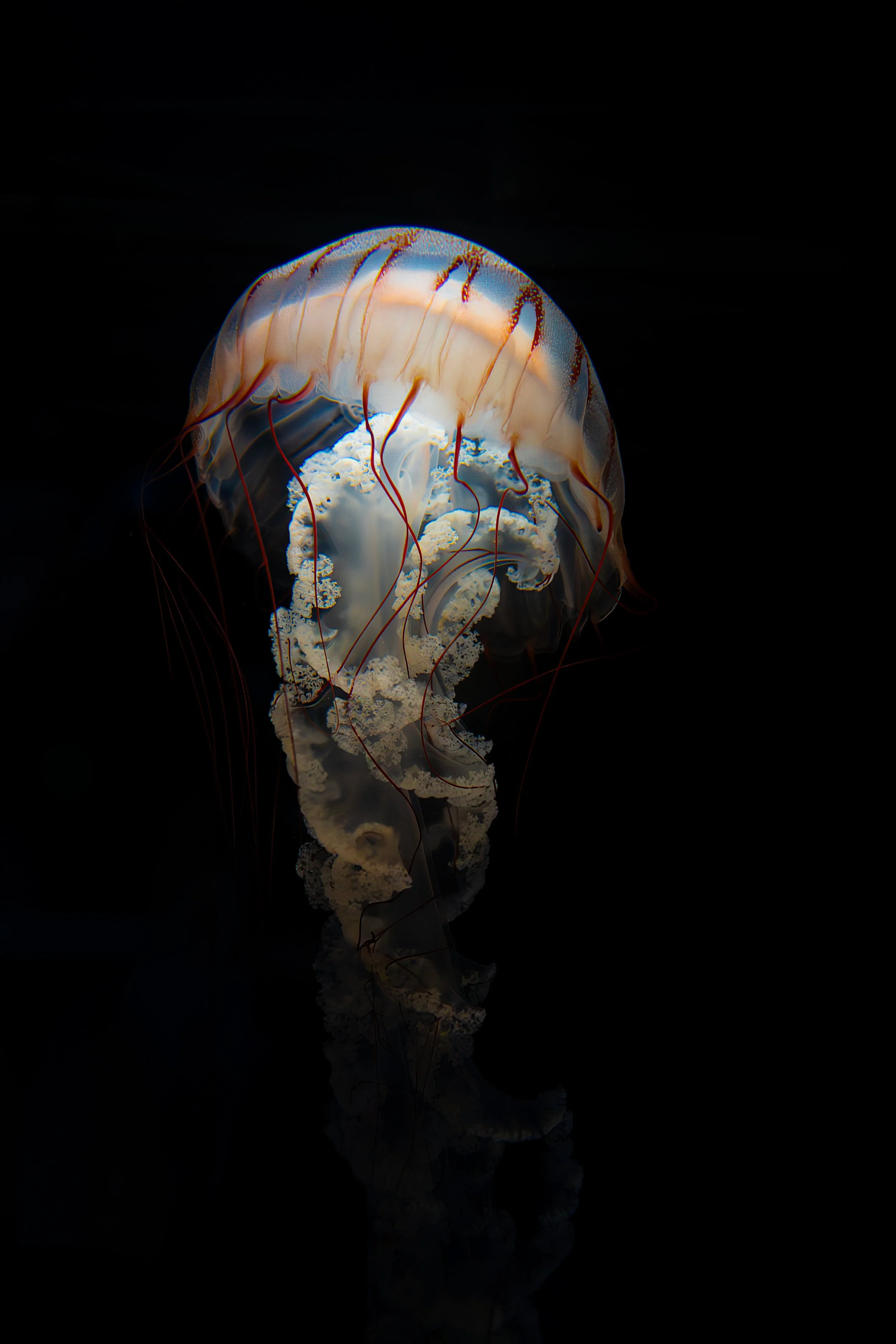 D5X_0323-Edit.jpg