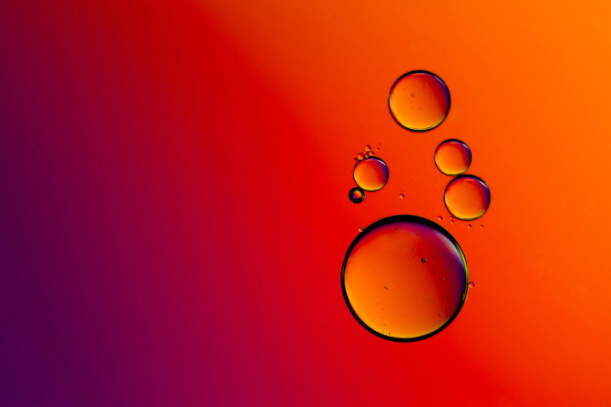 DX8_5795-Edit.jpg