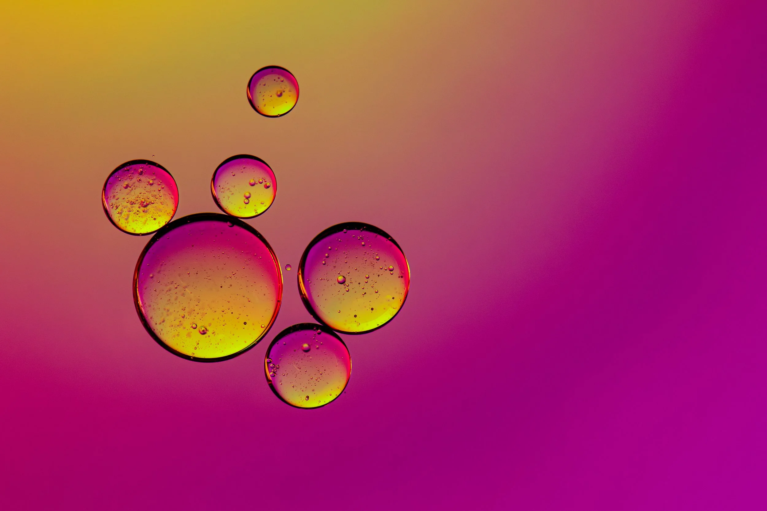 DX8_5832-Edit.jpg